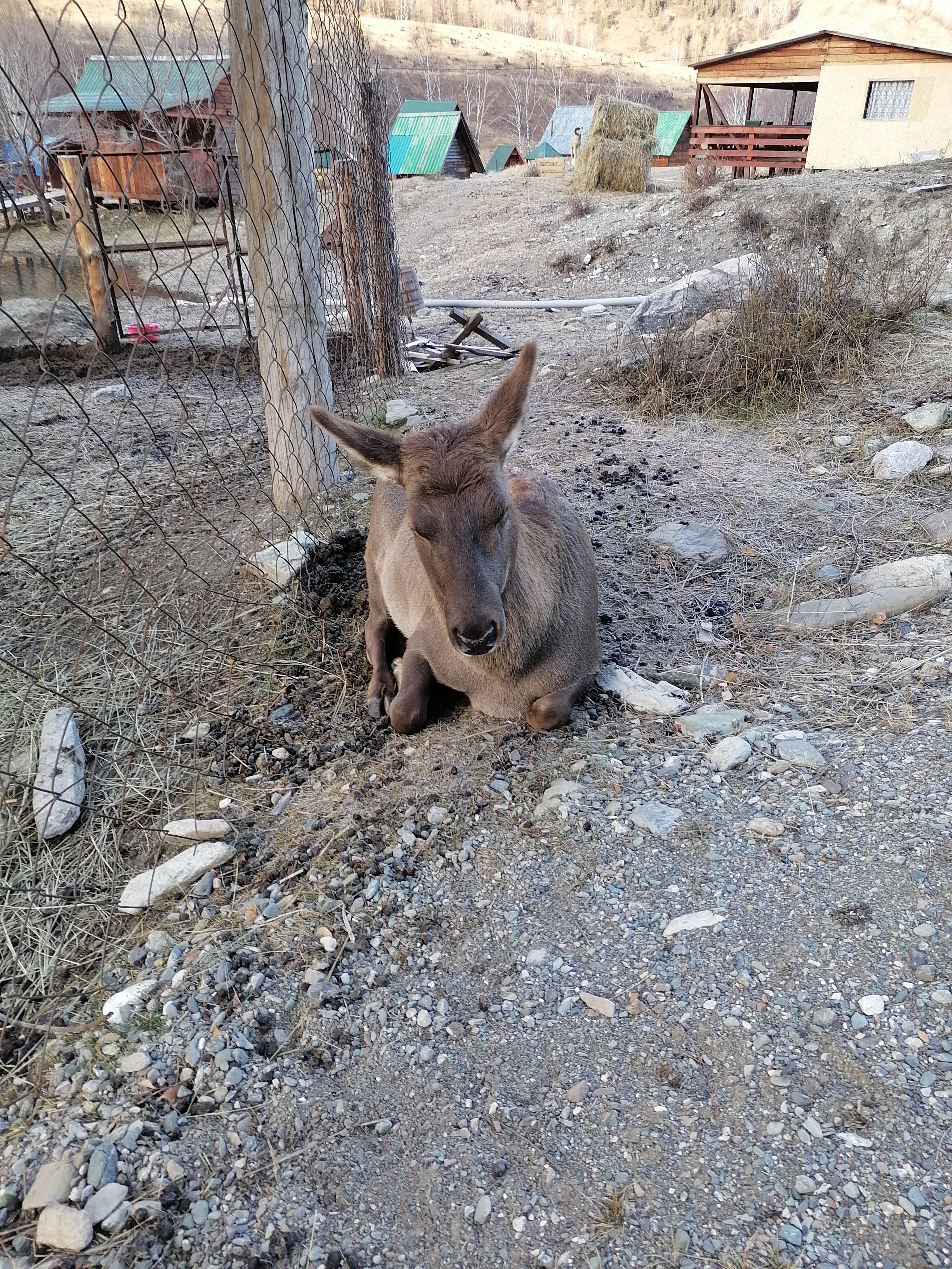 Фото Ак-Боом