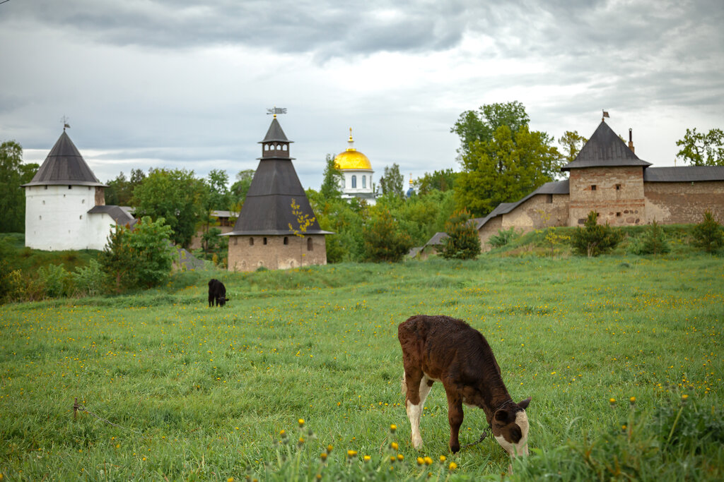 Landmark, attraction Башня Верхних решёток, Pechory, photo