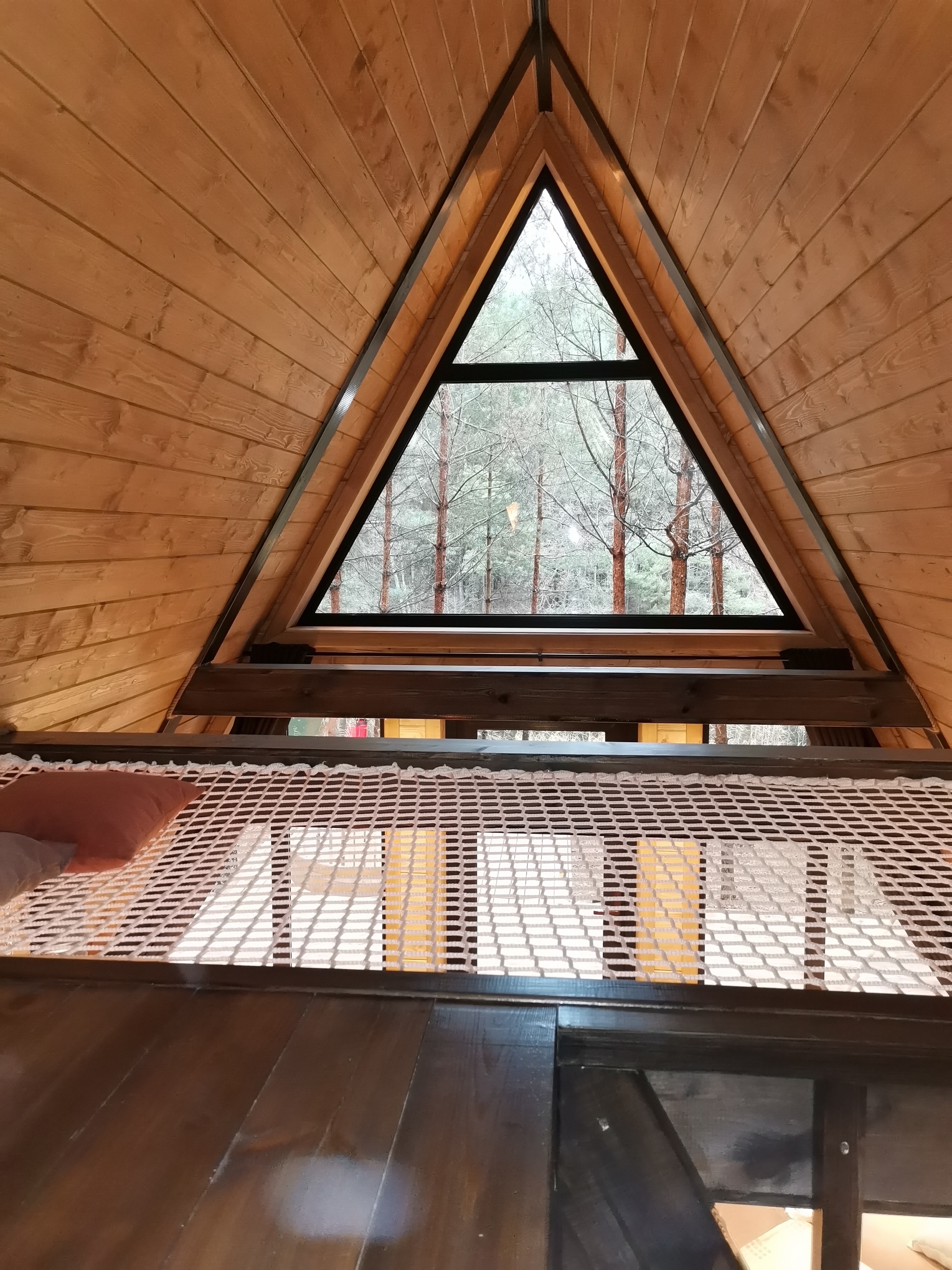 Фото КэмпФалькон