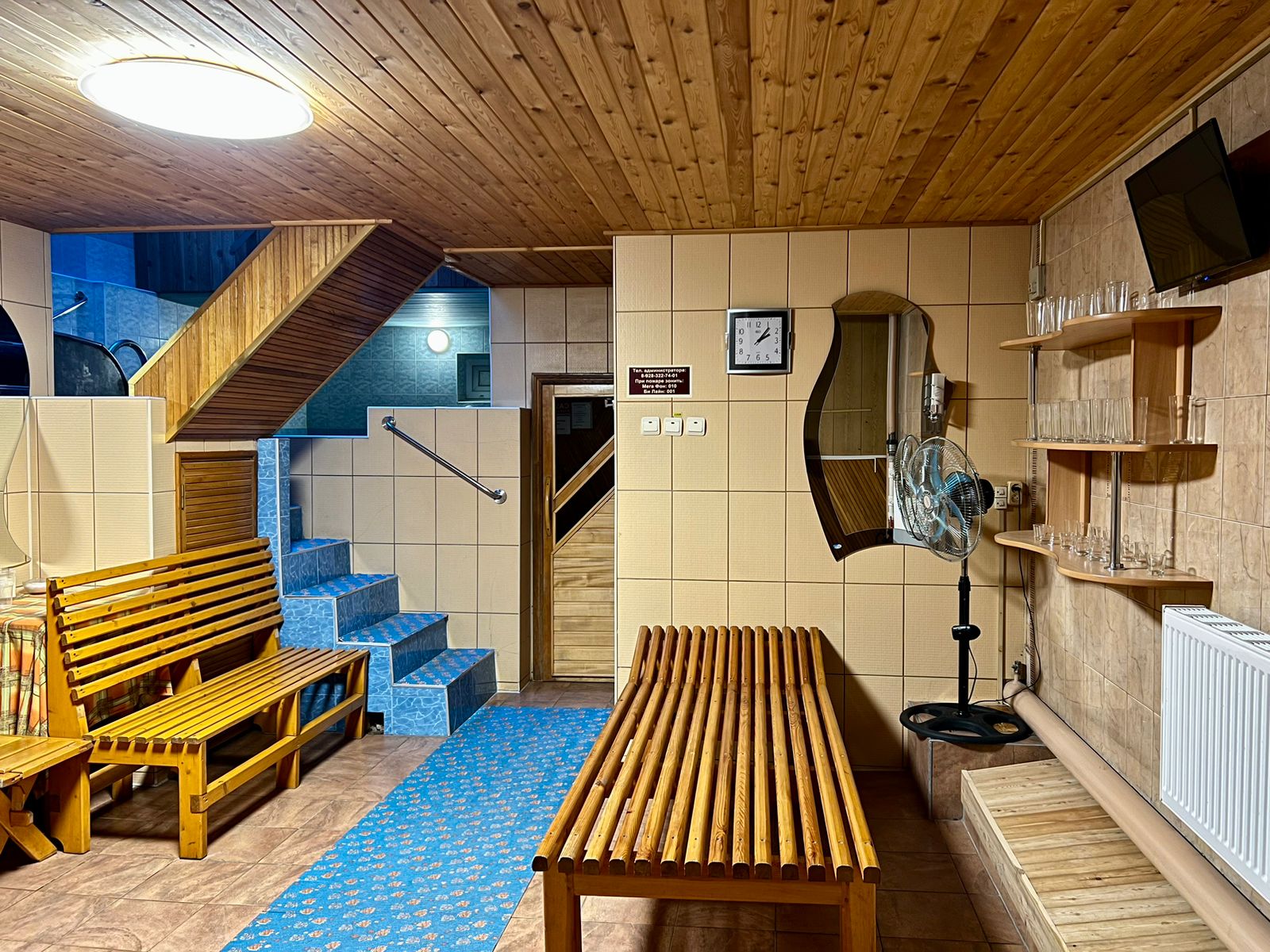 Фото Мишель