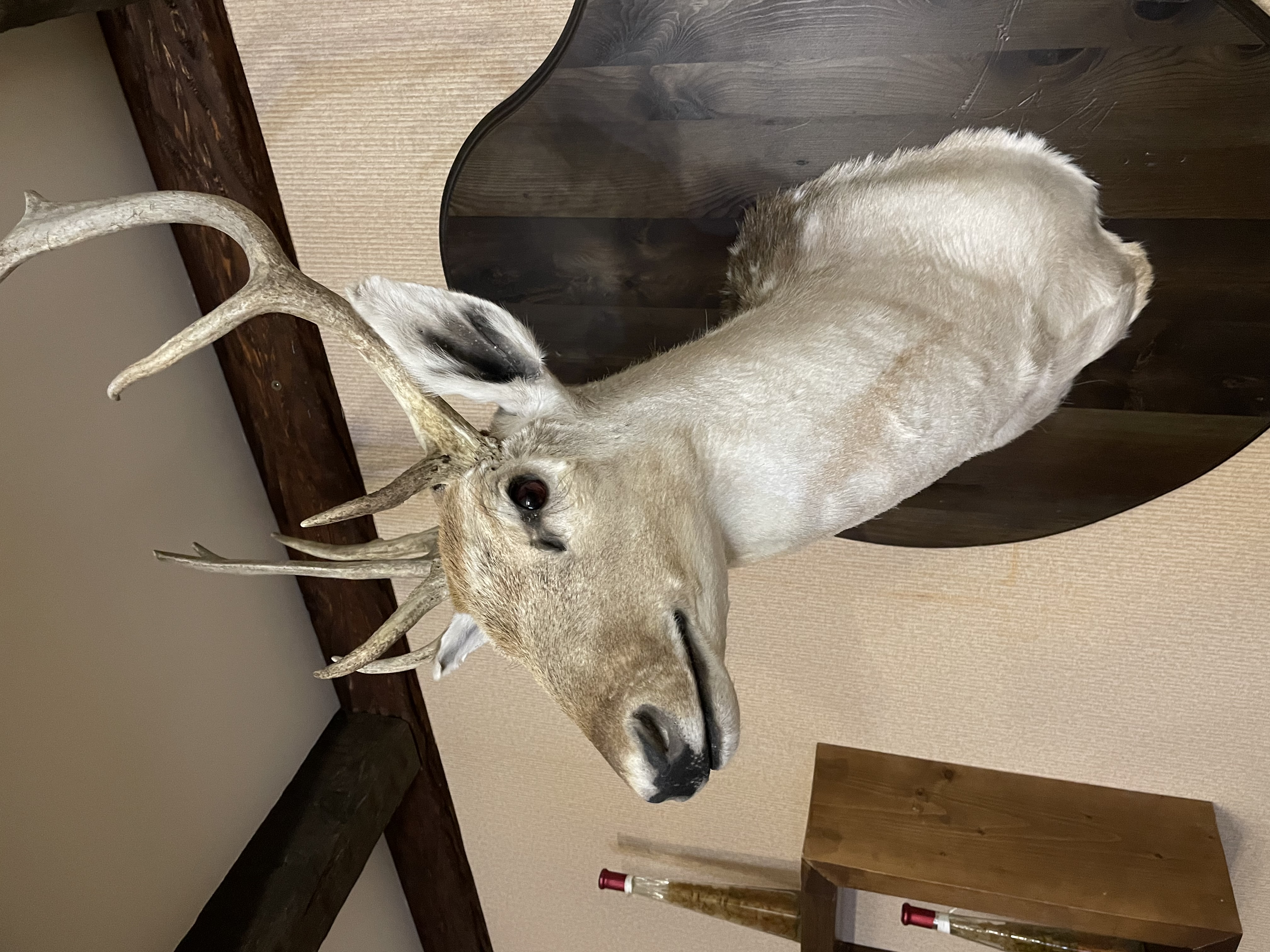 Фото Александровский