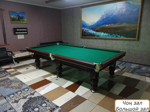 Жетілген түкті ісік