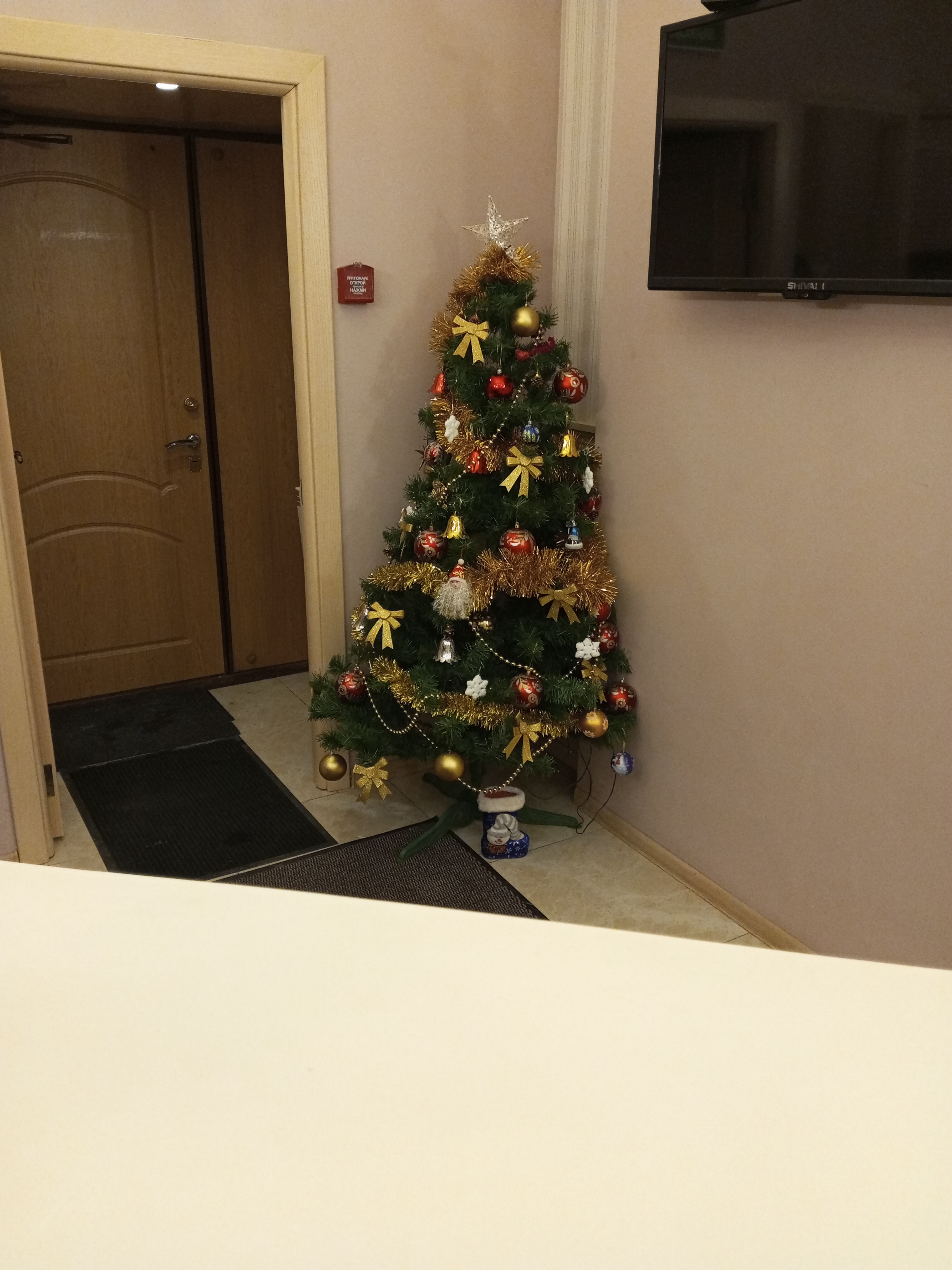 Фото Авеню 22