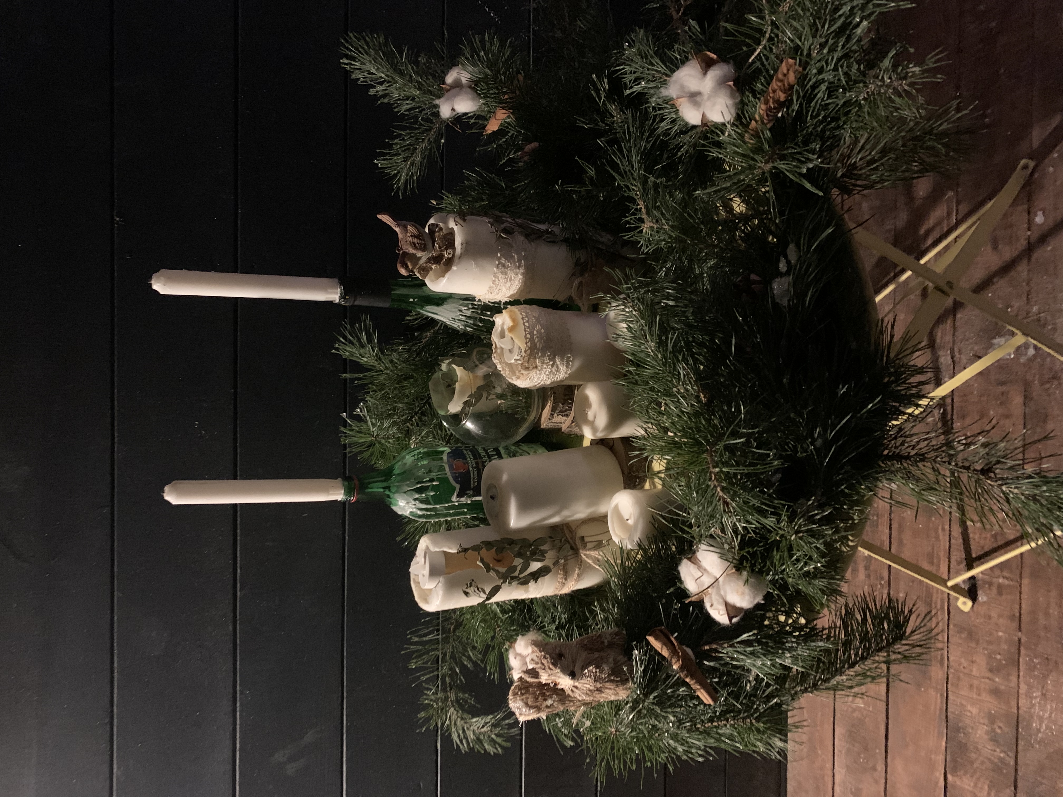 Фото TinyDacha можжевельник