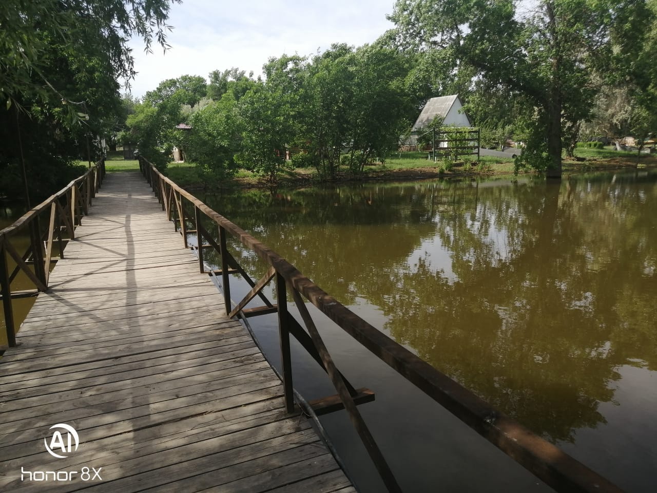 Фото Камышовый рай