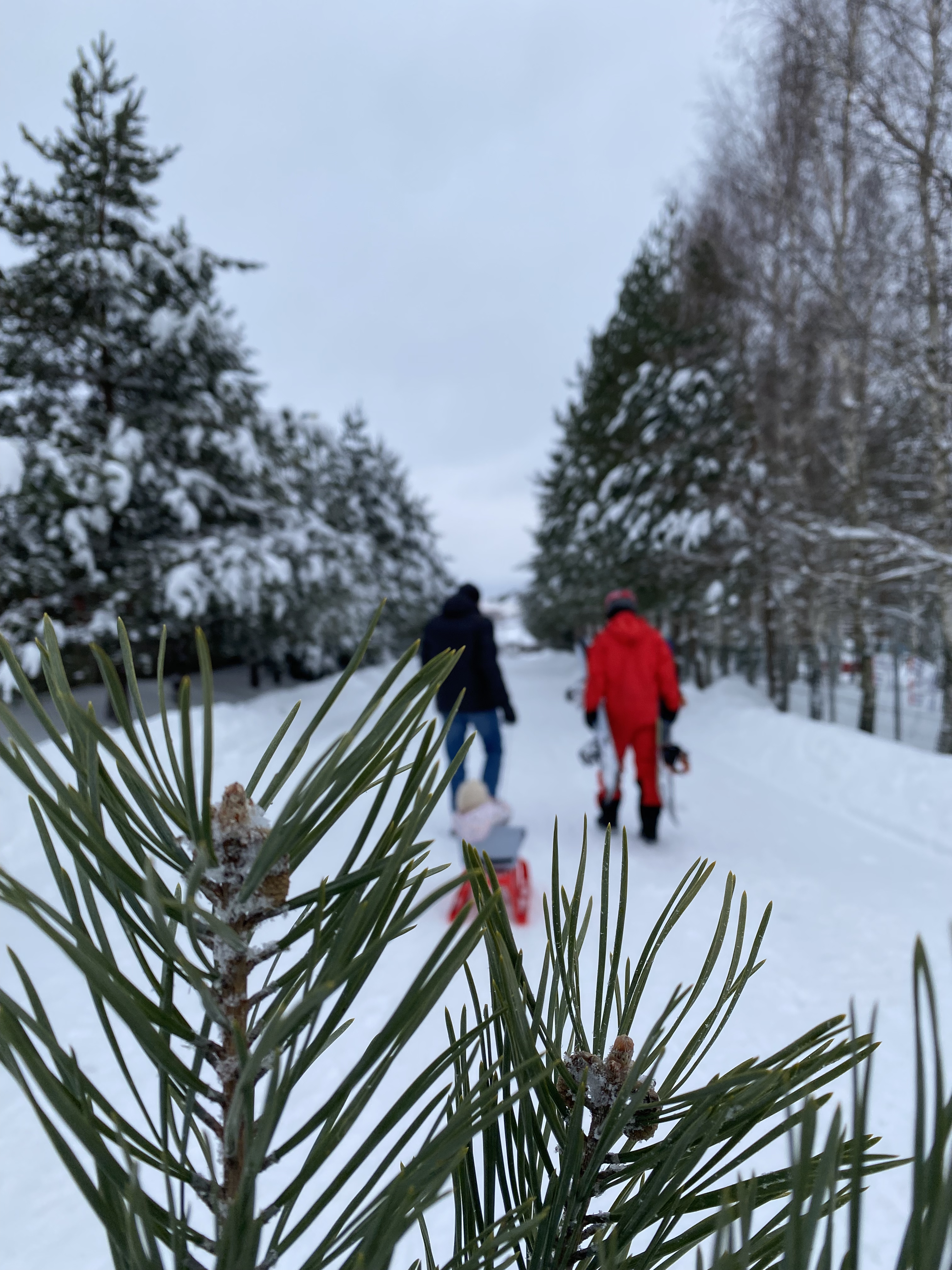 Фото Отель Шуколово