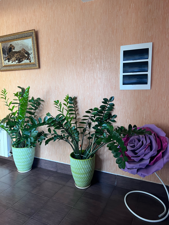 Фото На Калинина