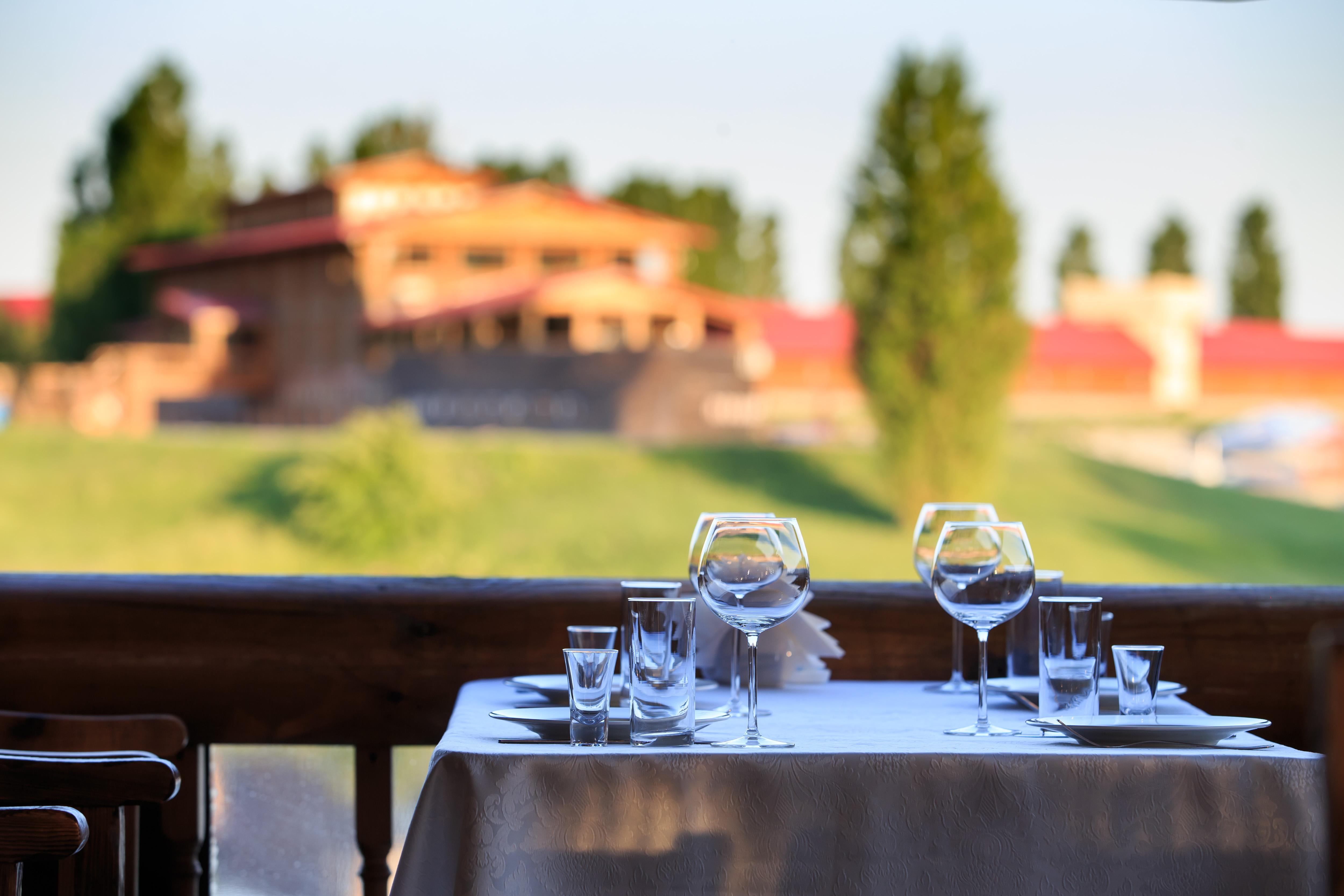 Фото Кленовая роща