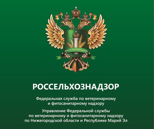 Органы государственного надзора Управление Россельхознадзора по Нижегородской области и Республике Марий Эл, Нижний Новгород, фото