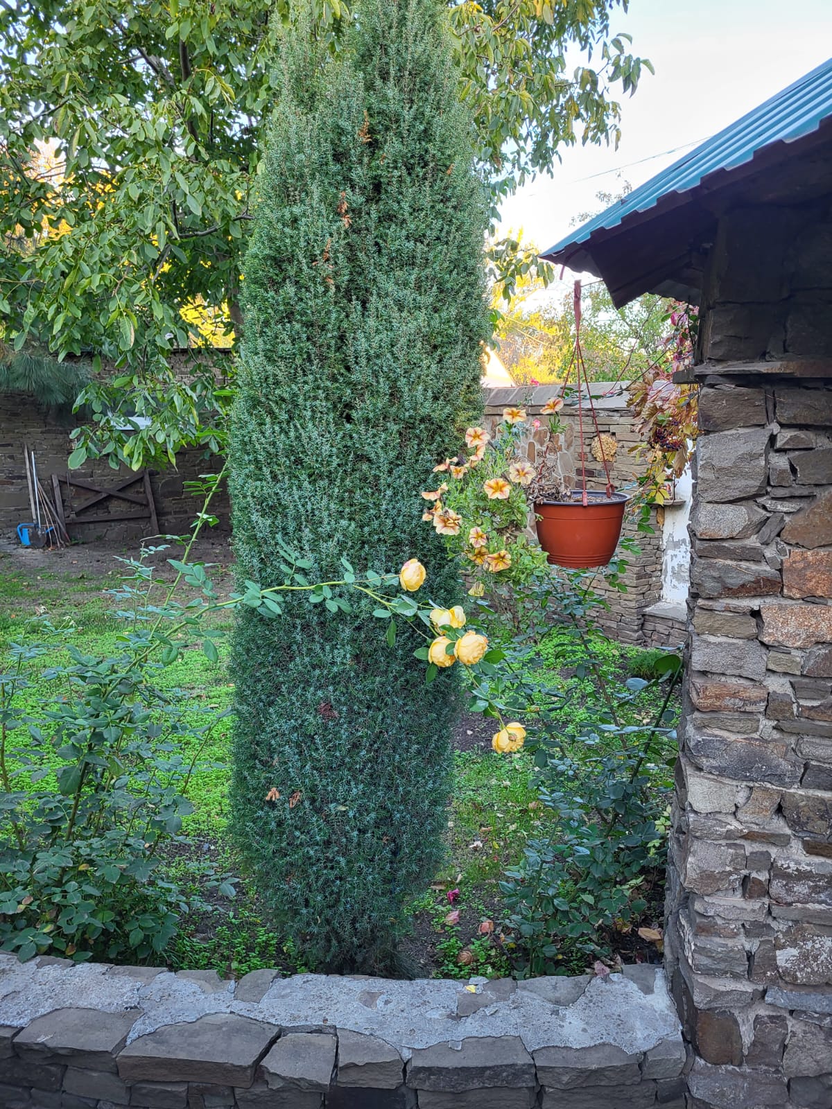 Фото Сказка