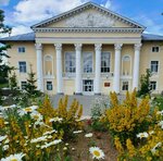 Созвездие (posyolok gorodskogo tipa Velikooktyabrskiy, Pervomayskaya ulitsa, 4) ، سينما