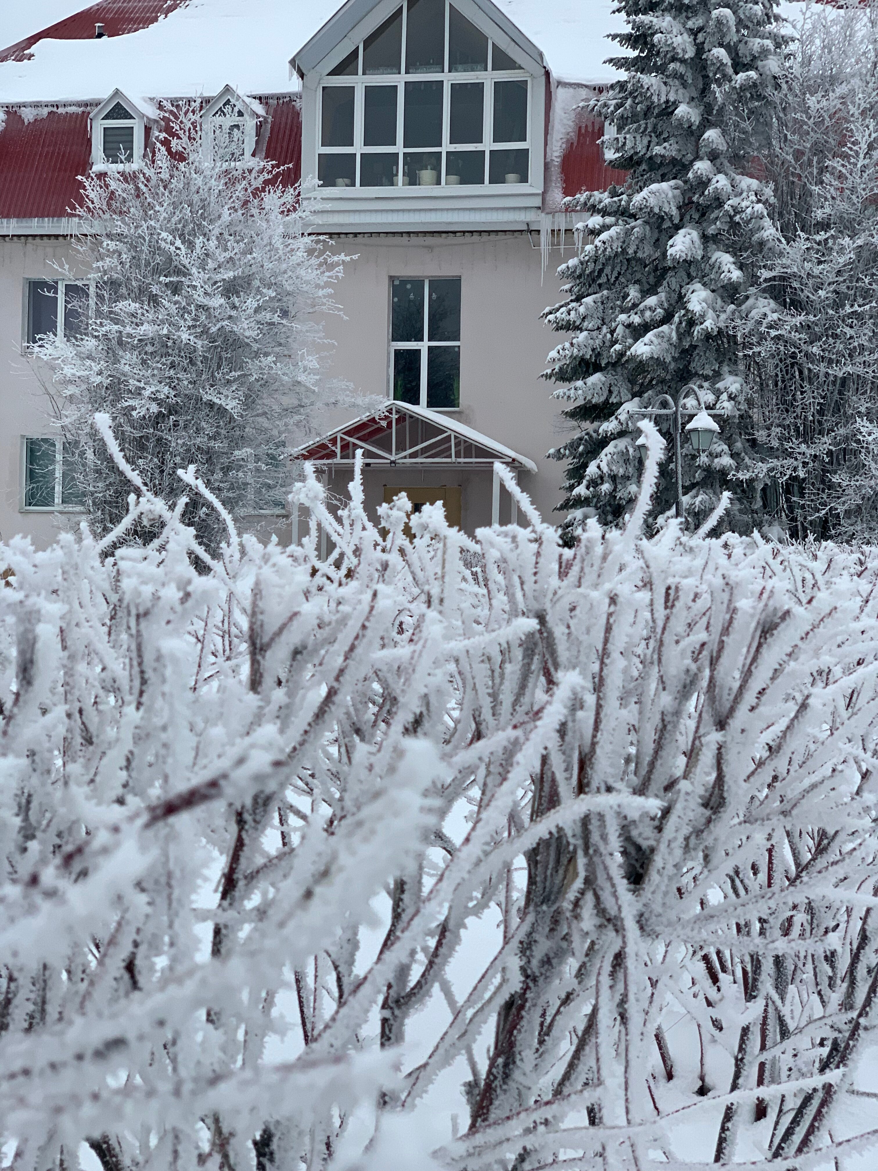 Фото База отдыха Берёзовка