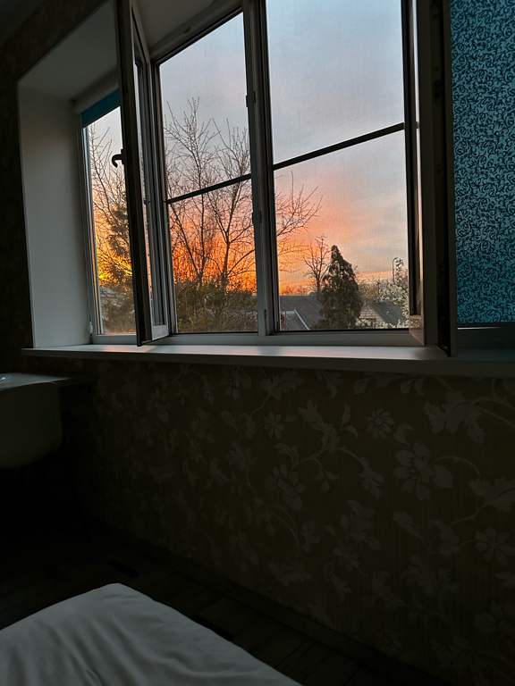 Фото Форест