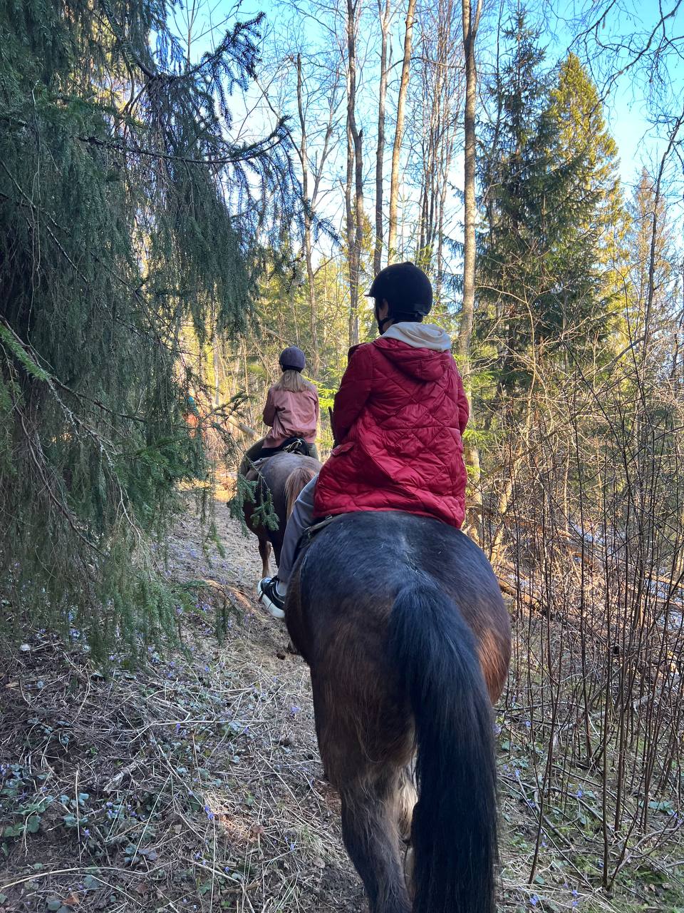 Фото Конюшенный двор