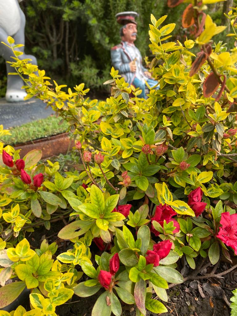 Фото Коттедж у моря Дом & Пляж