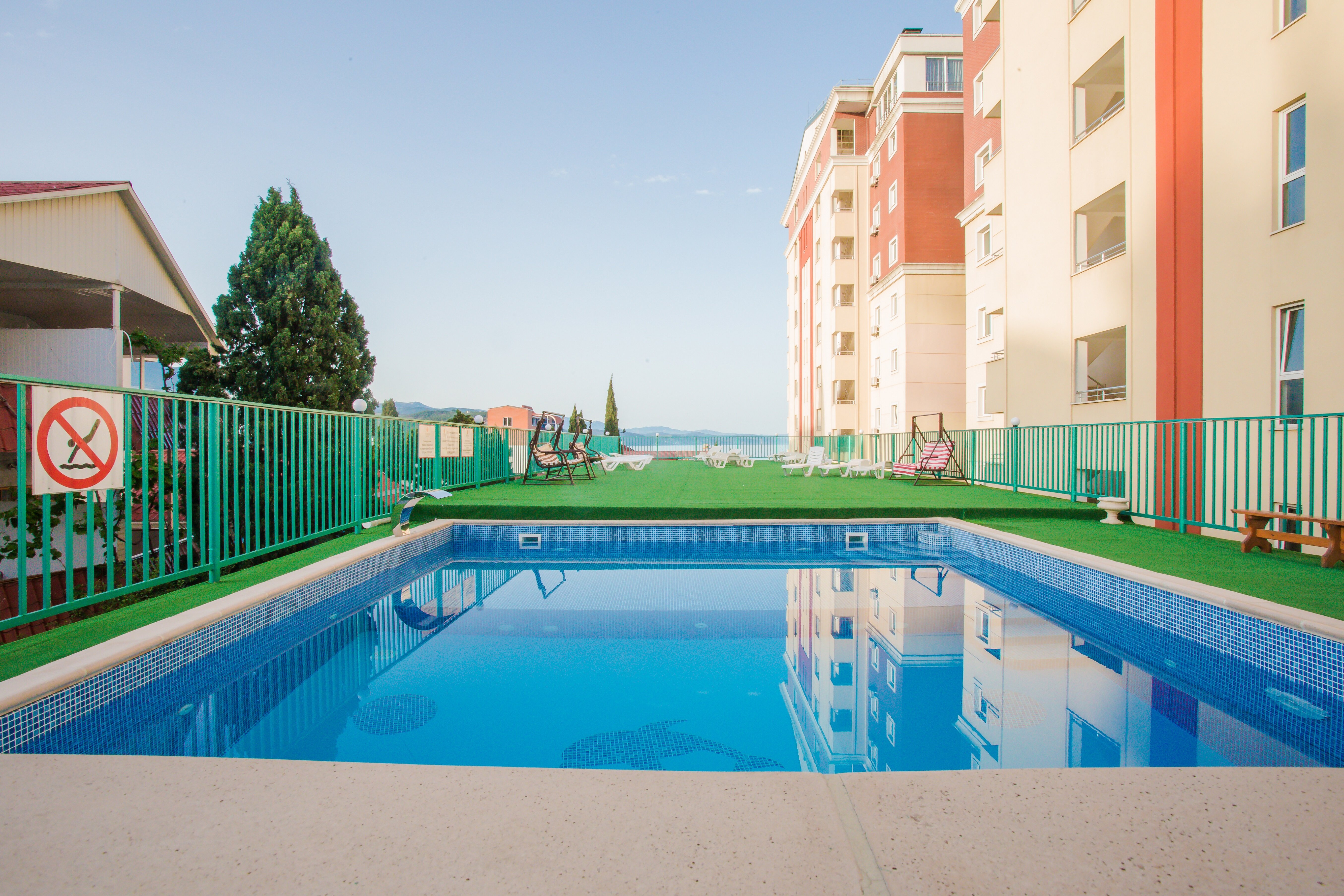 Фото Цитрус