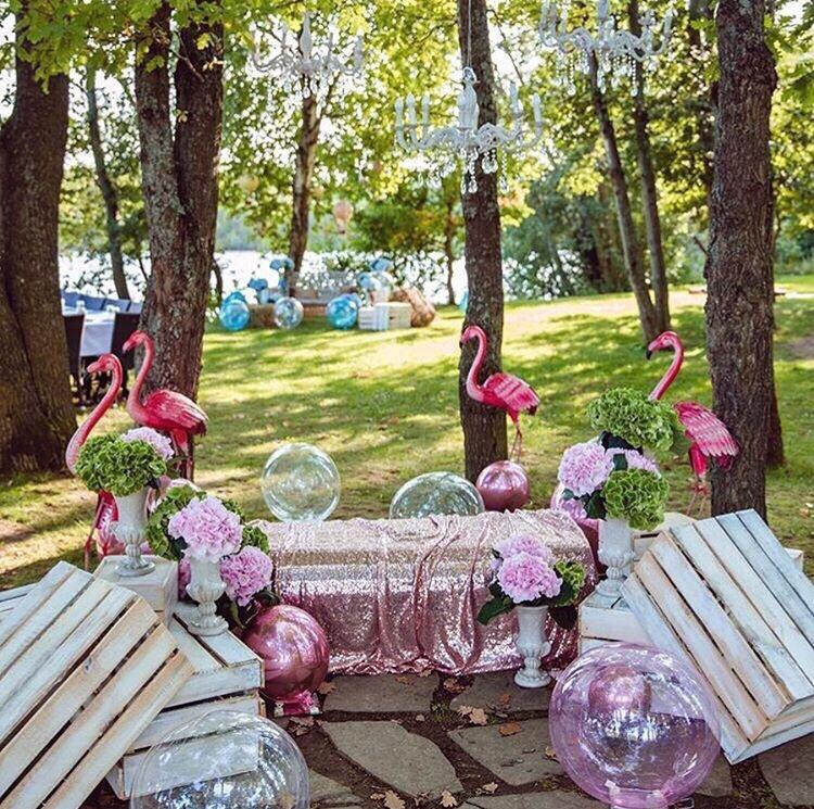 Фото Светлячок