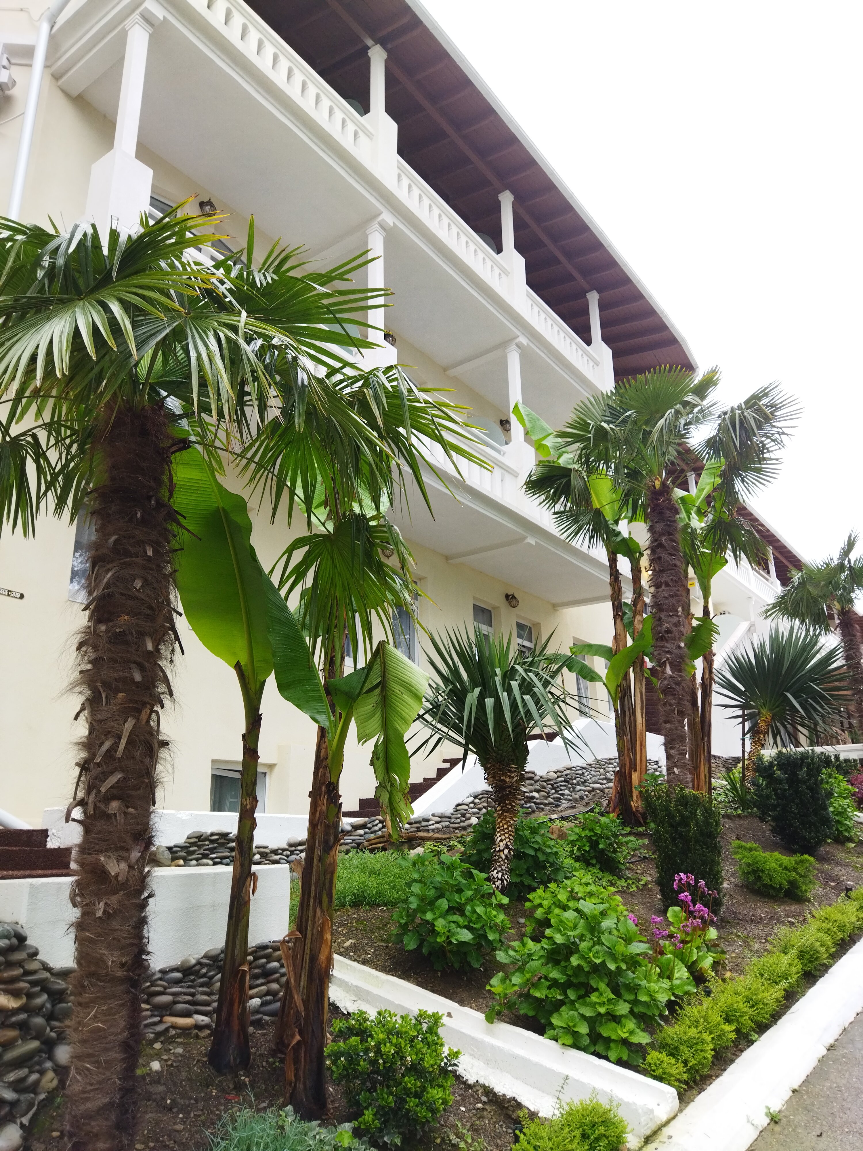 Фото Рановский парк