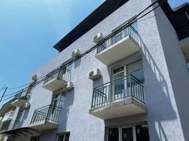 Фото Гиацинт