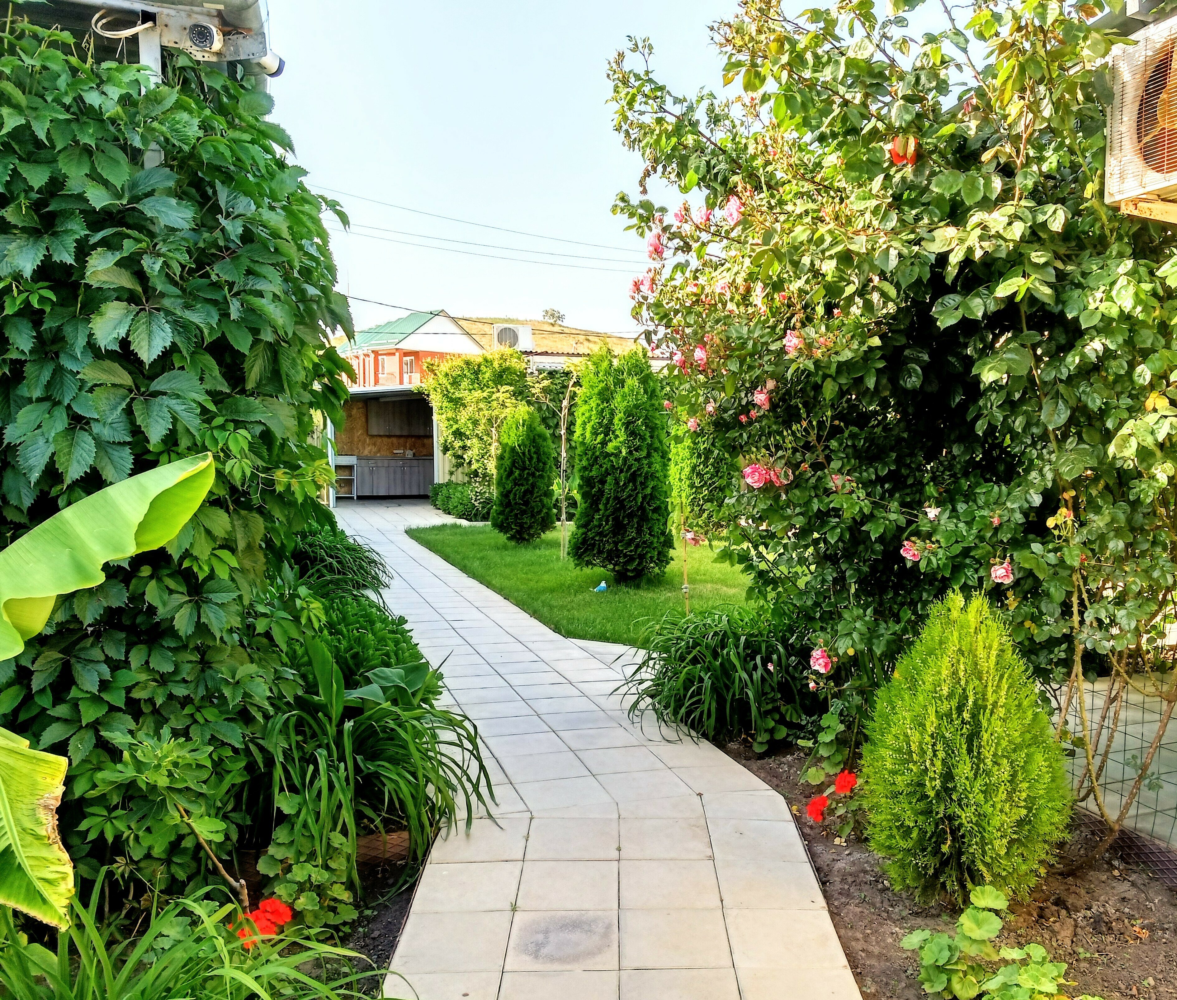 Фото АртДиЖан