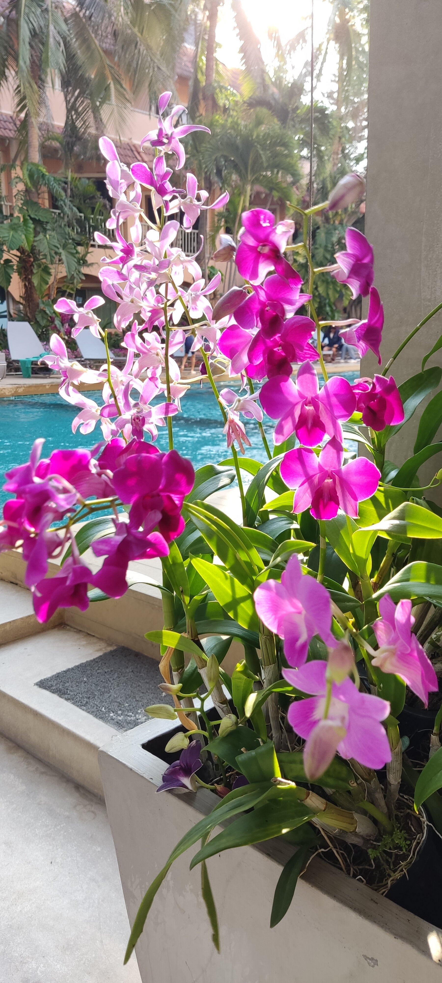 Фото Anantasila Beach Resort Hua Hin