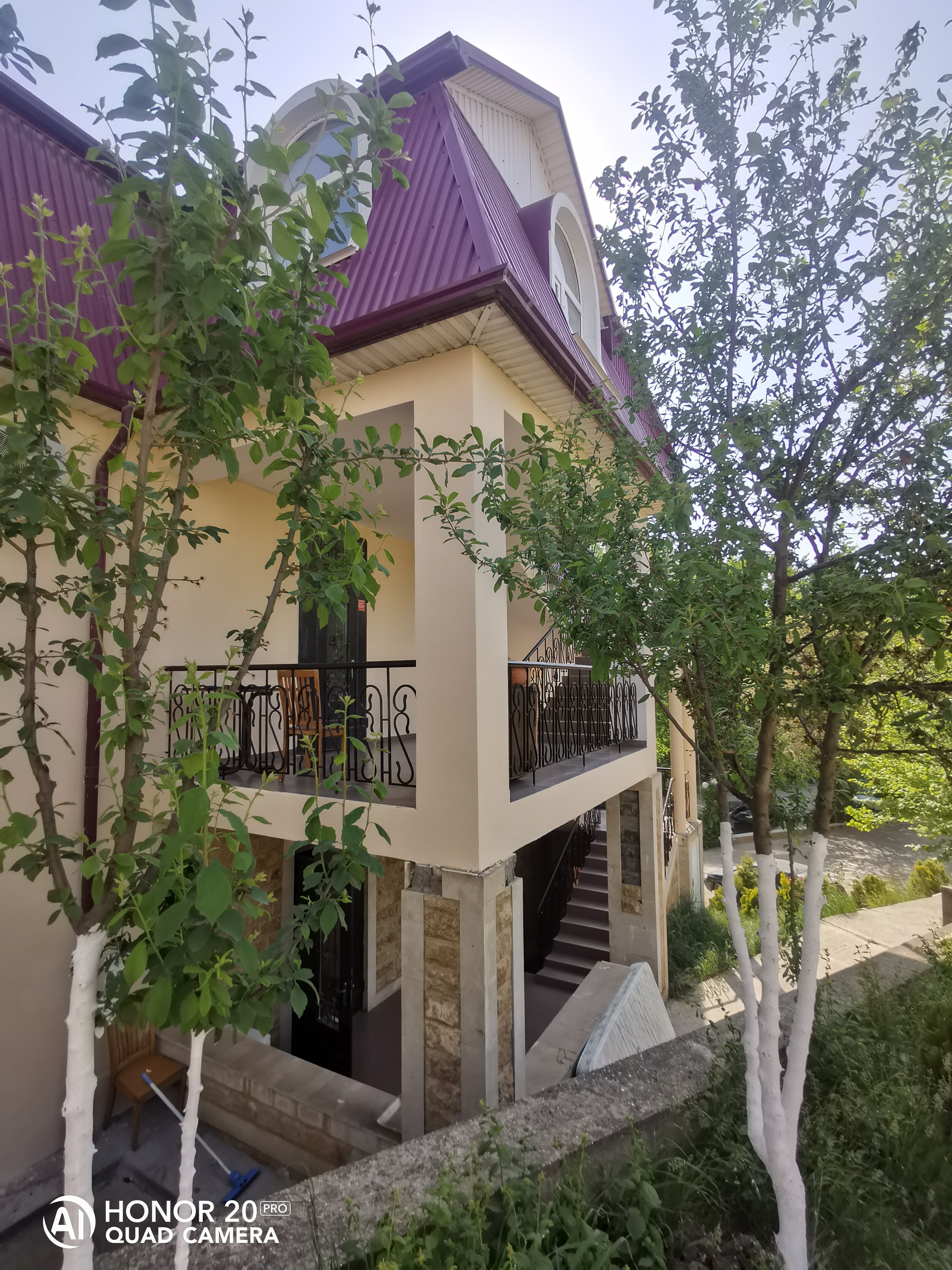 Фото Грин Вилл