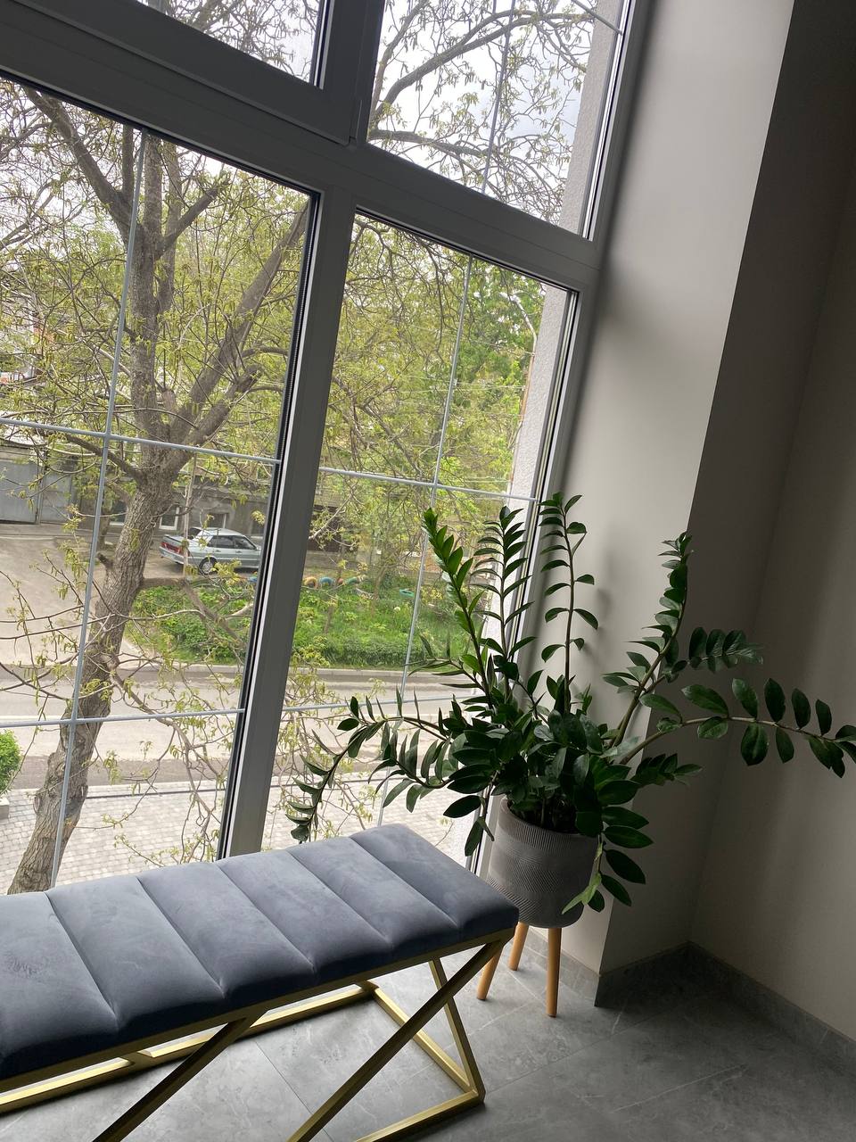 Фото Лакколит 993