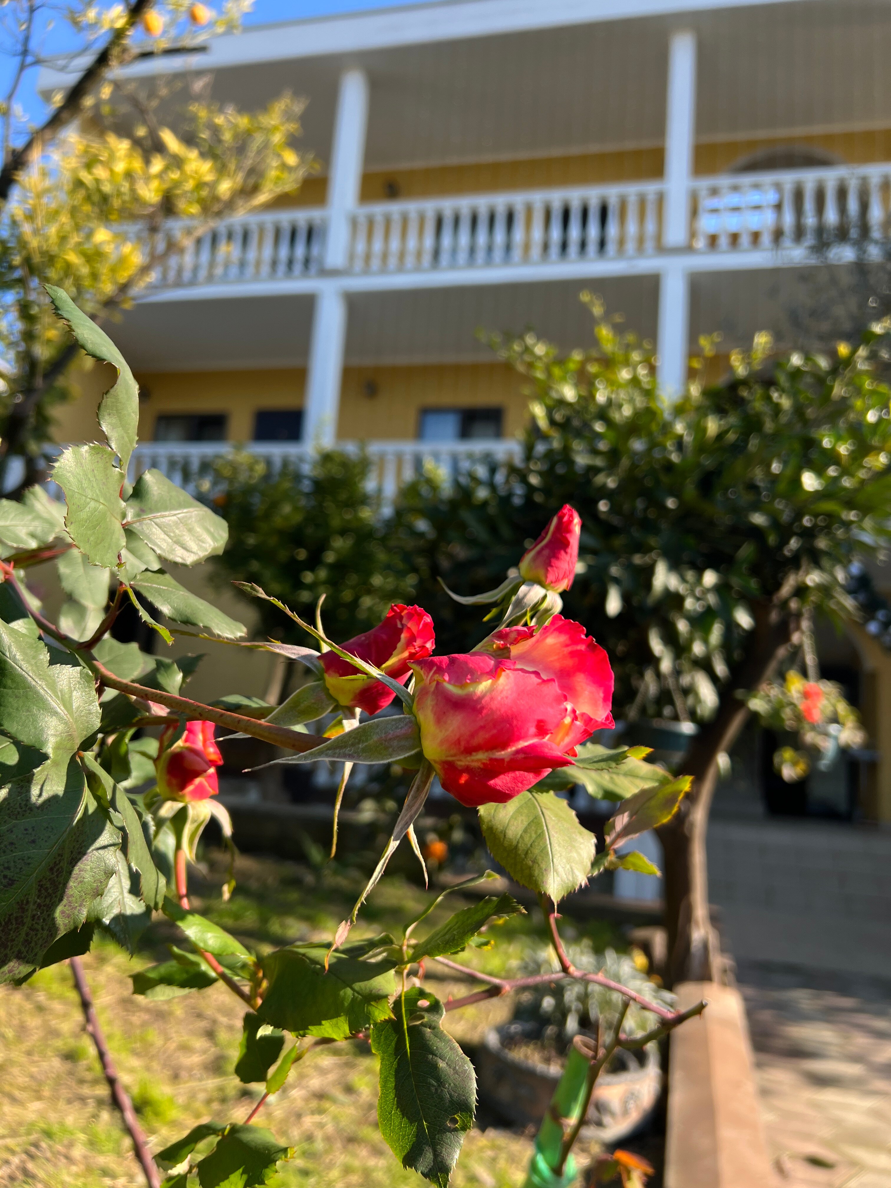 Фото Отель Мэри