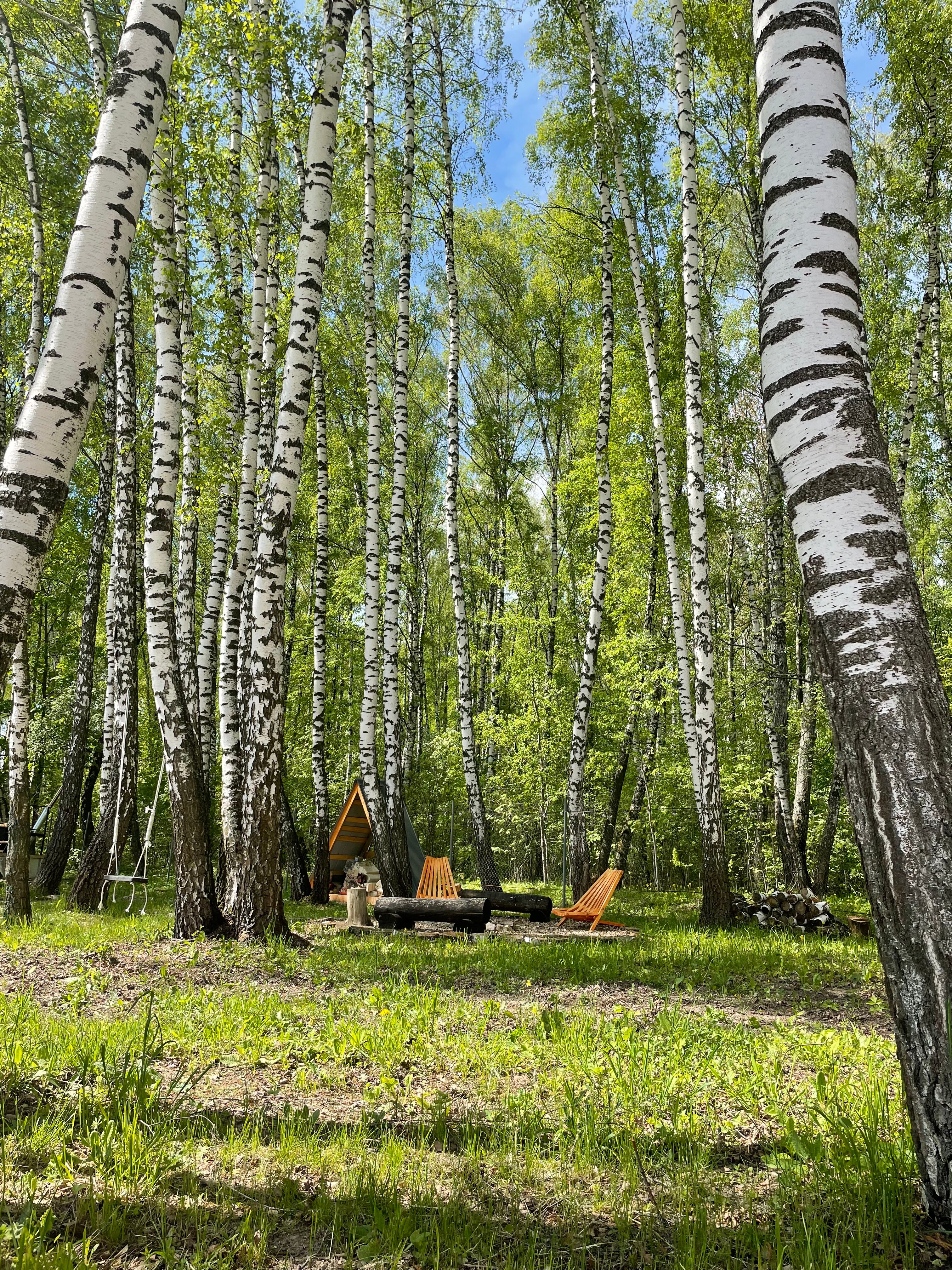 Фото Шалаш Тимохи