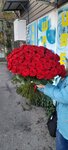 Tsvetochny magazin Olga (Iristonskaya ulitsa, 2), flower shop
