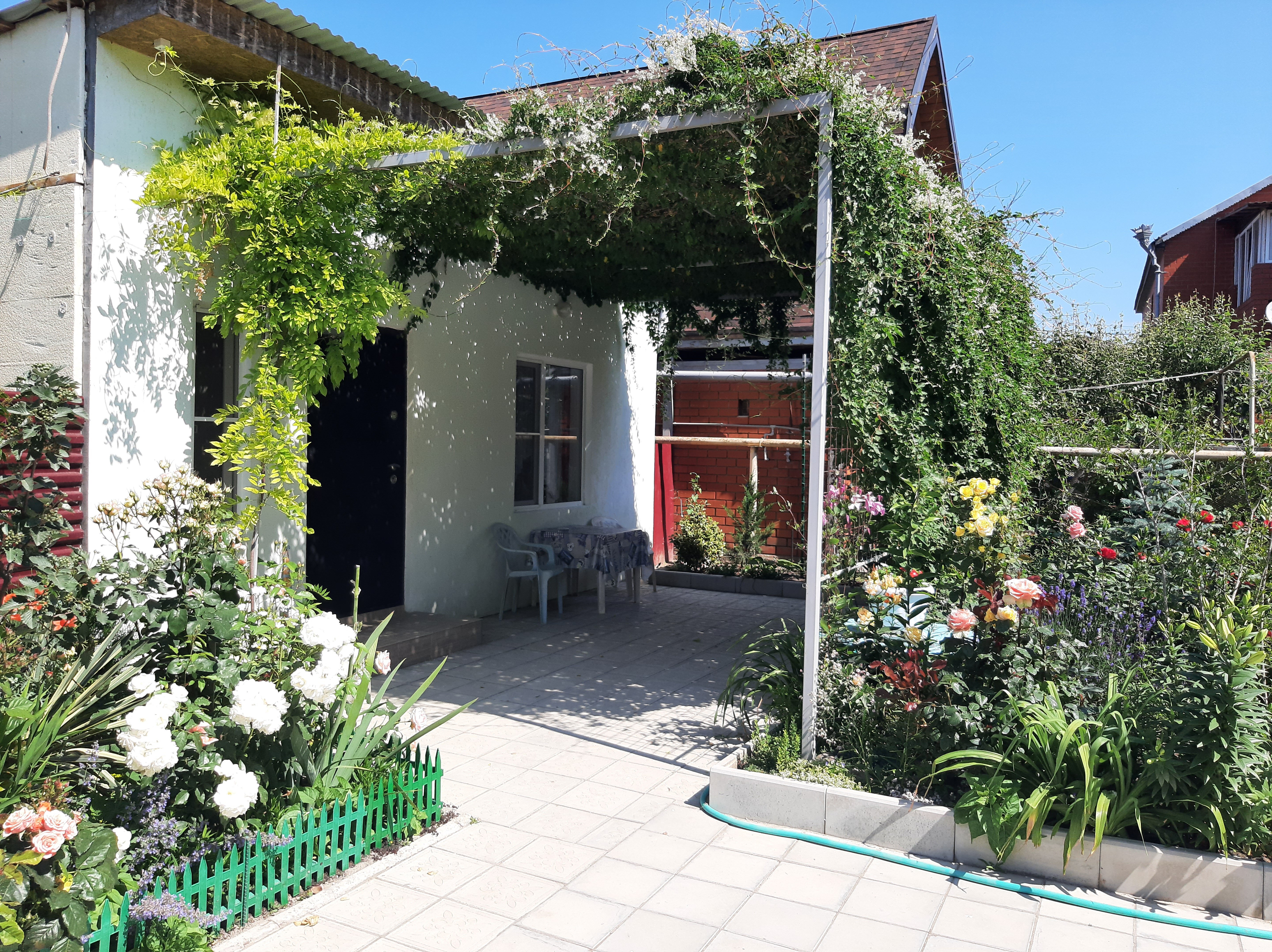 Фото Акварель