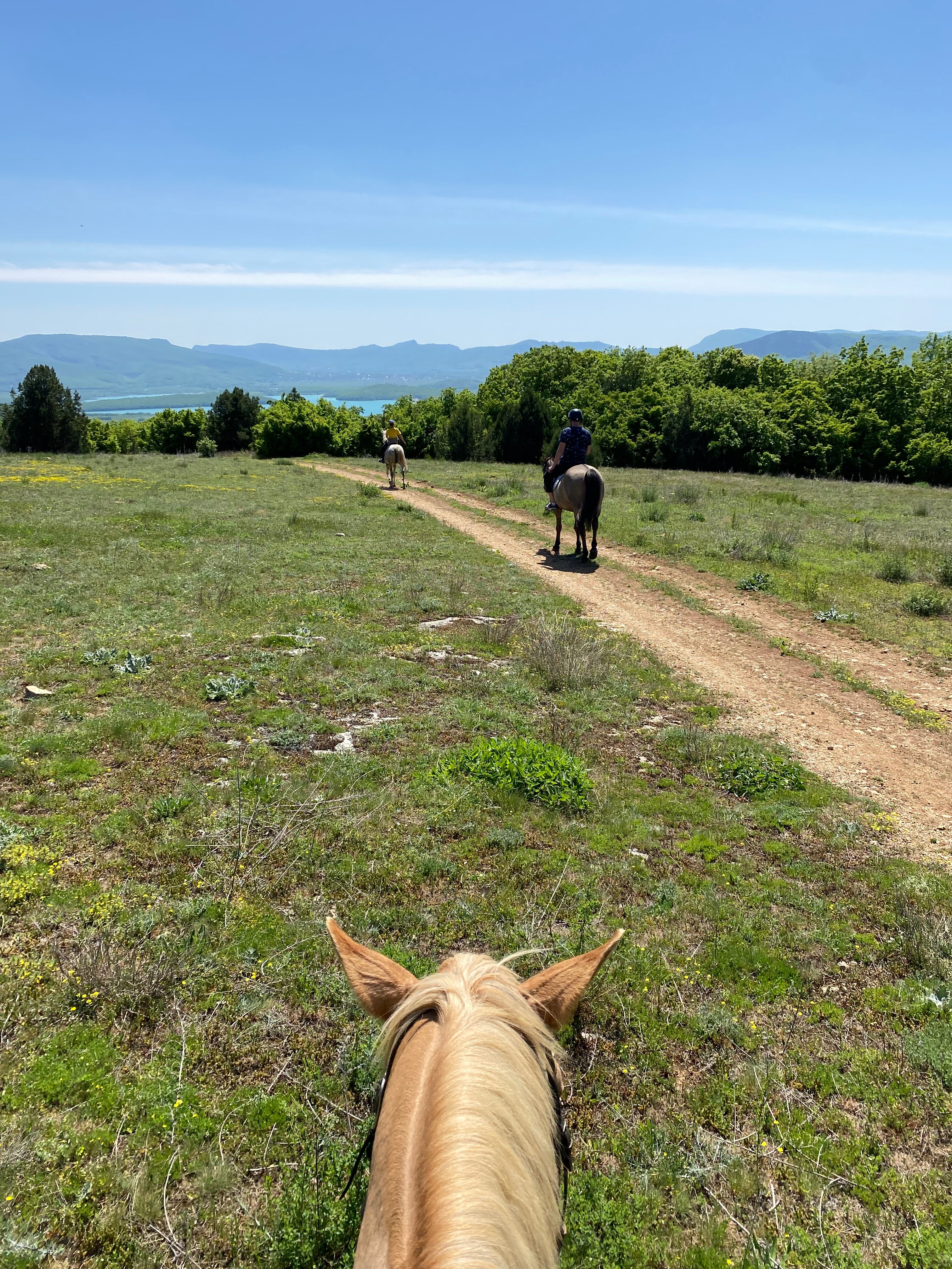 Фото Уркуста-парк