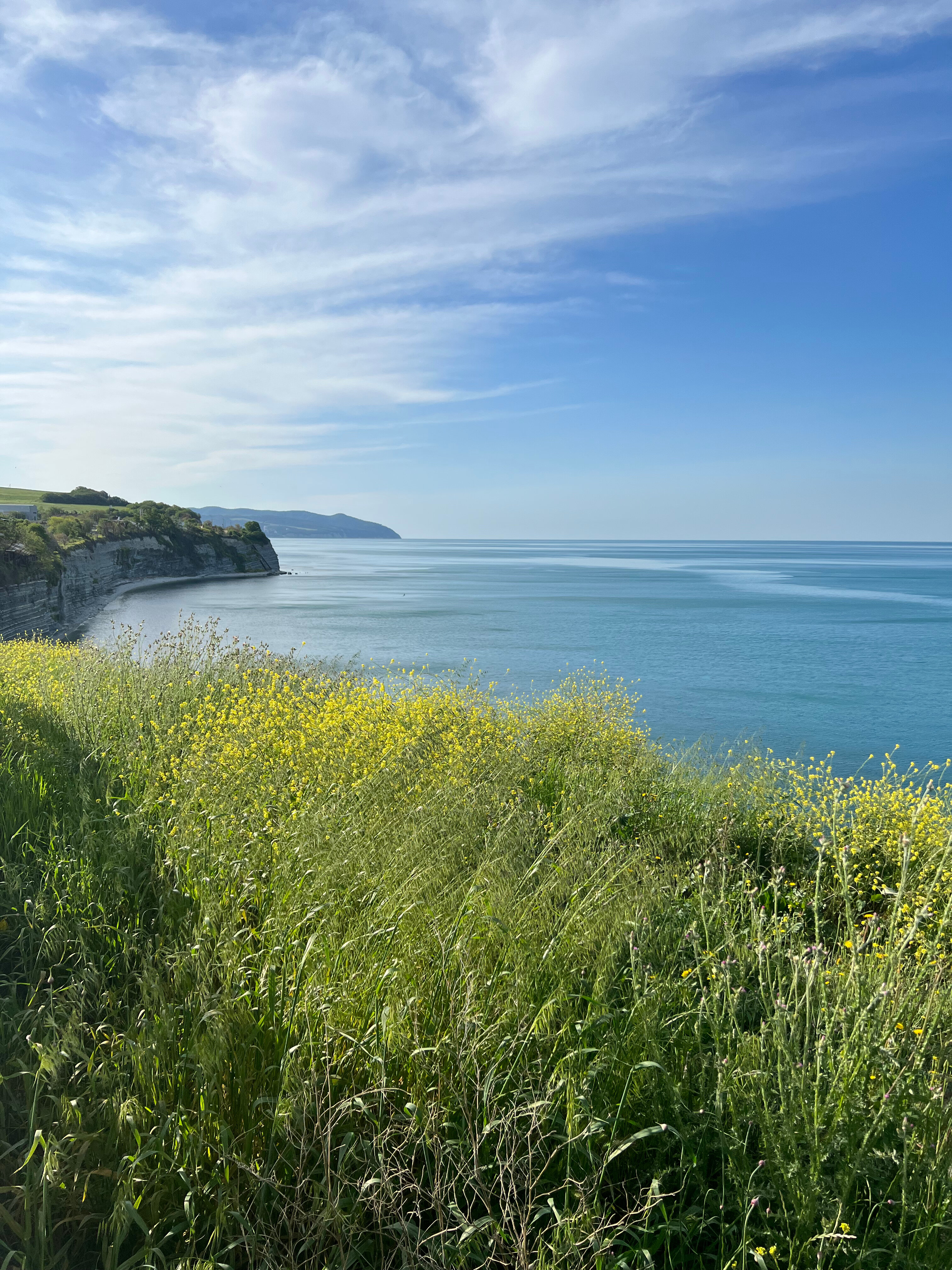 Фото Южная Дача
