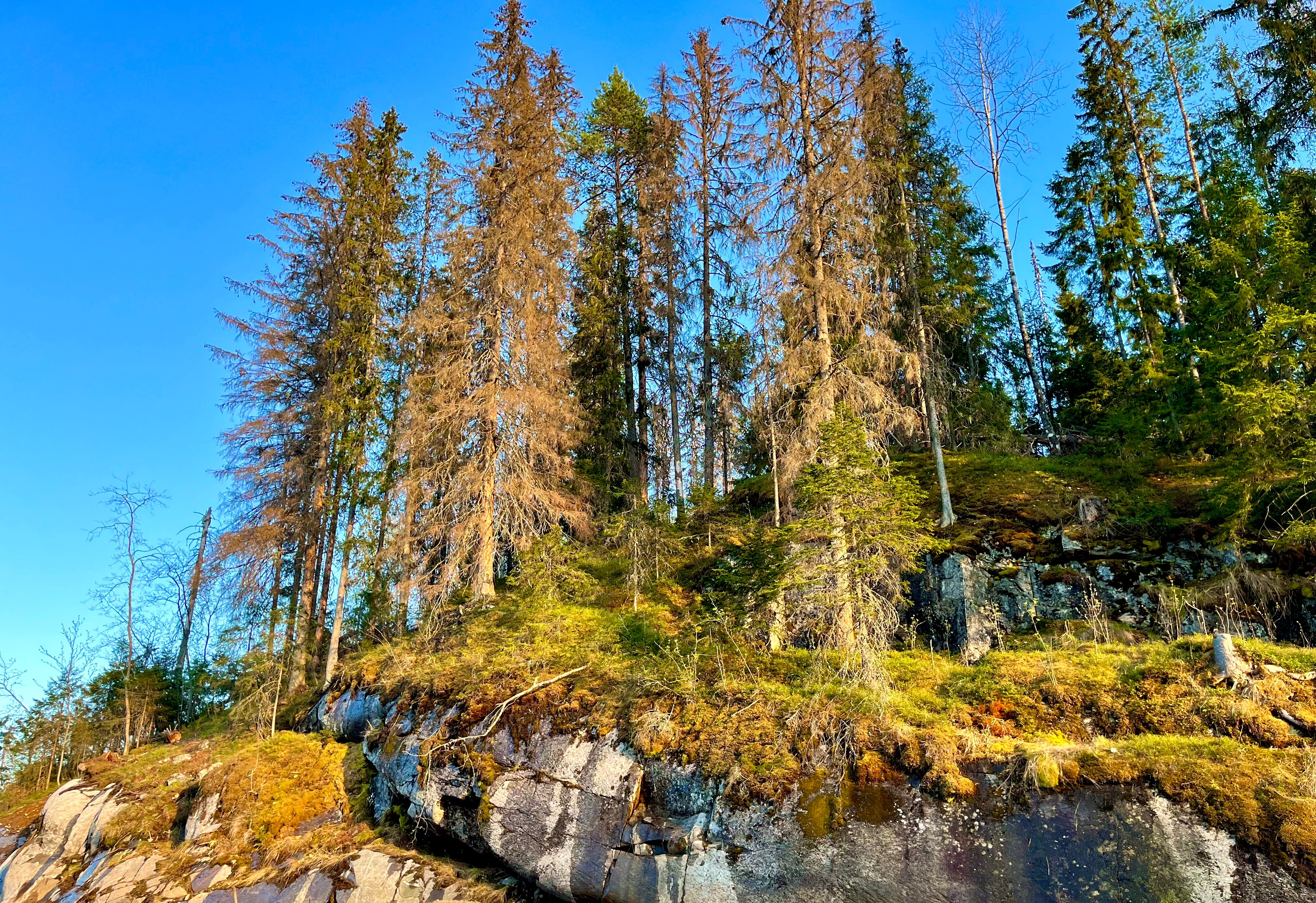 Фото Домики на Тихой