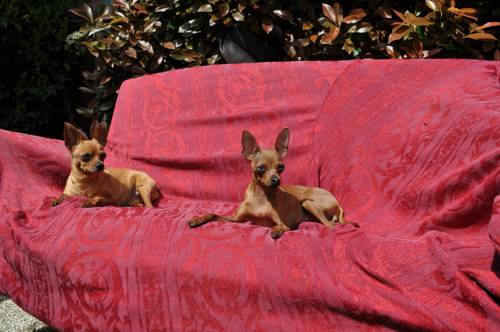 Фото Hotel Esedra