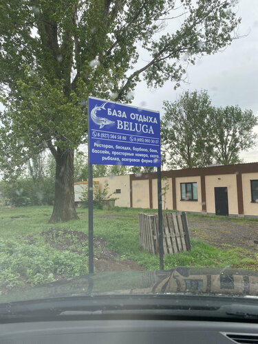 База Белуга — фото 5