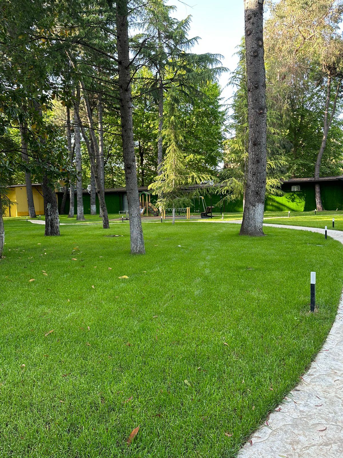 Фото Mirror Family