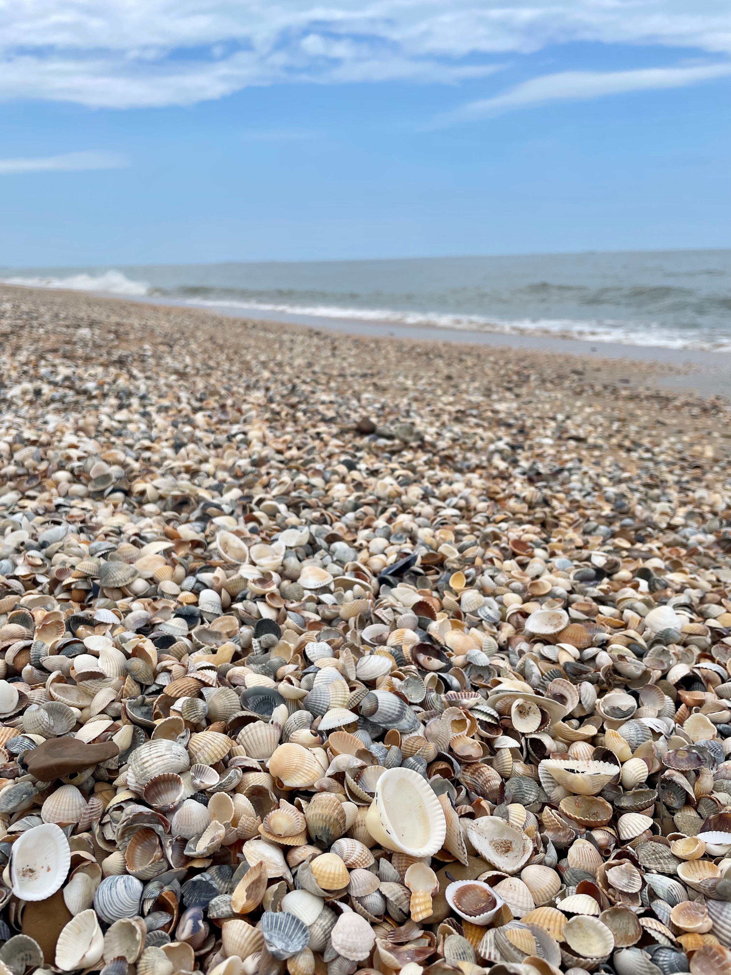 Фото У Петровича