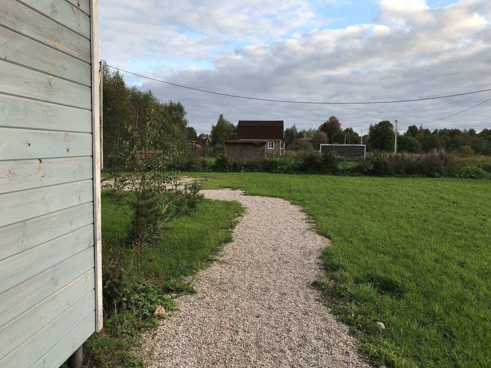 Фото Лаванда