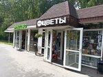 Tsvety (Moskovskaya Street, 24с2), flower shop