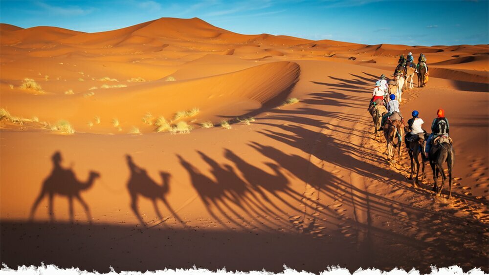 Tour operator Desert Raja, Dubai, photo