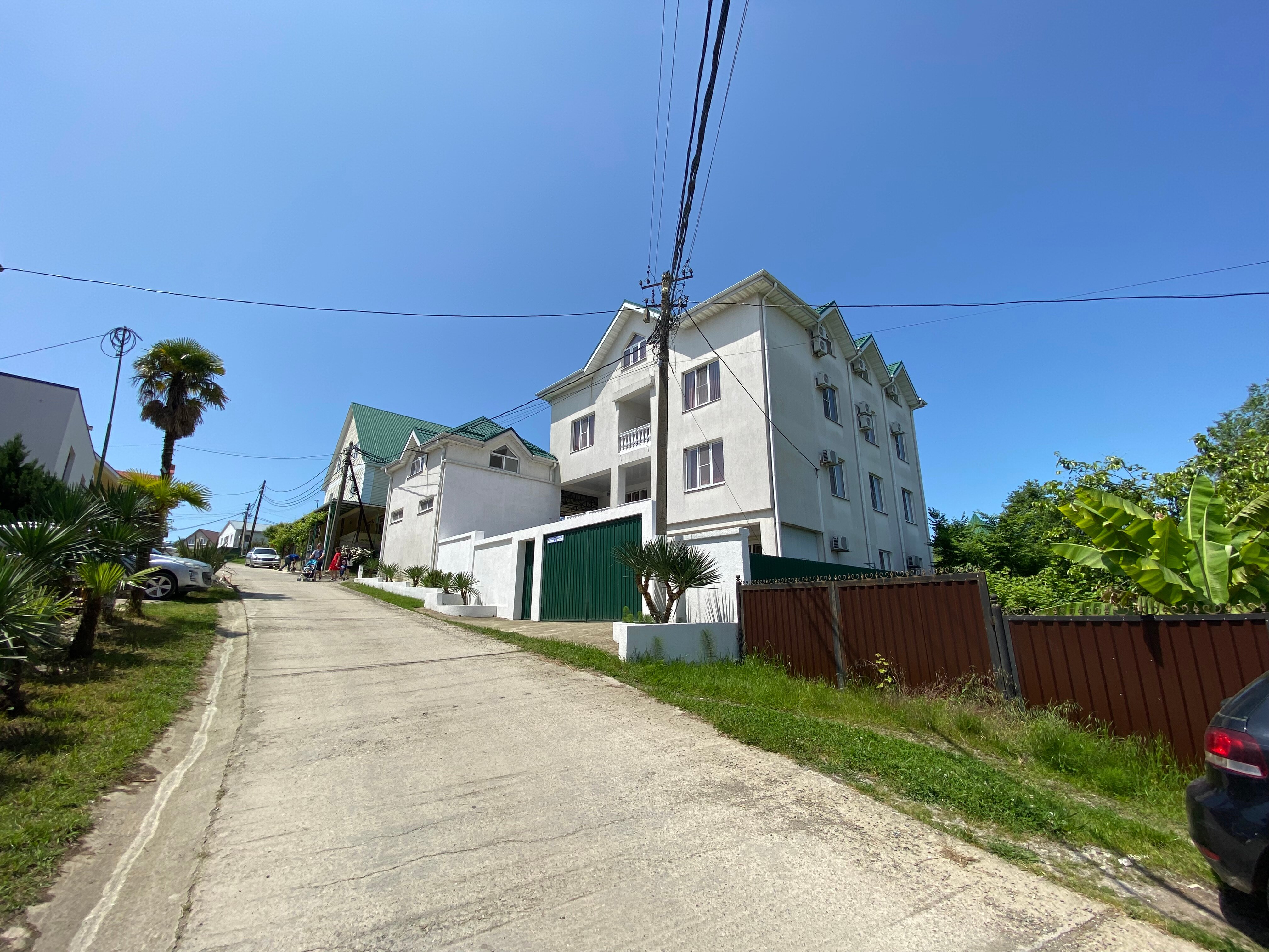 Фото Белые Росы