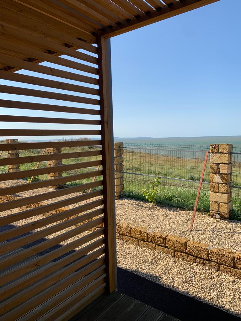 Фото Лемонад