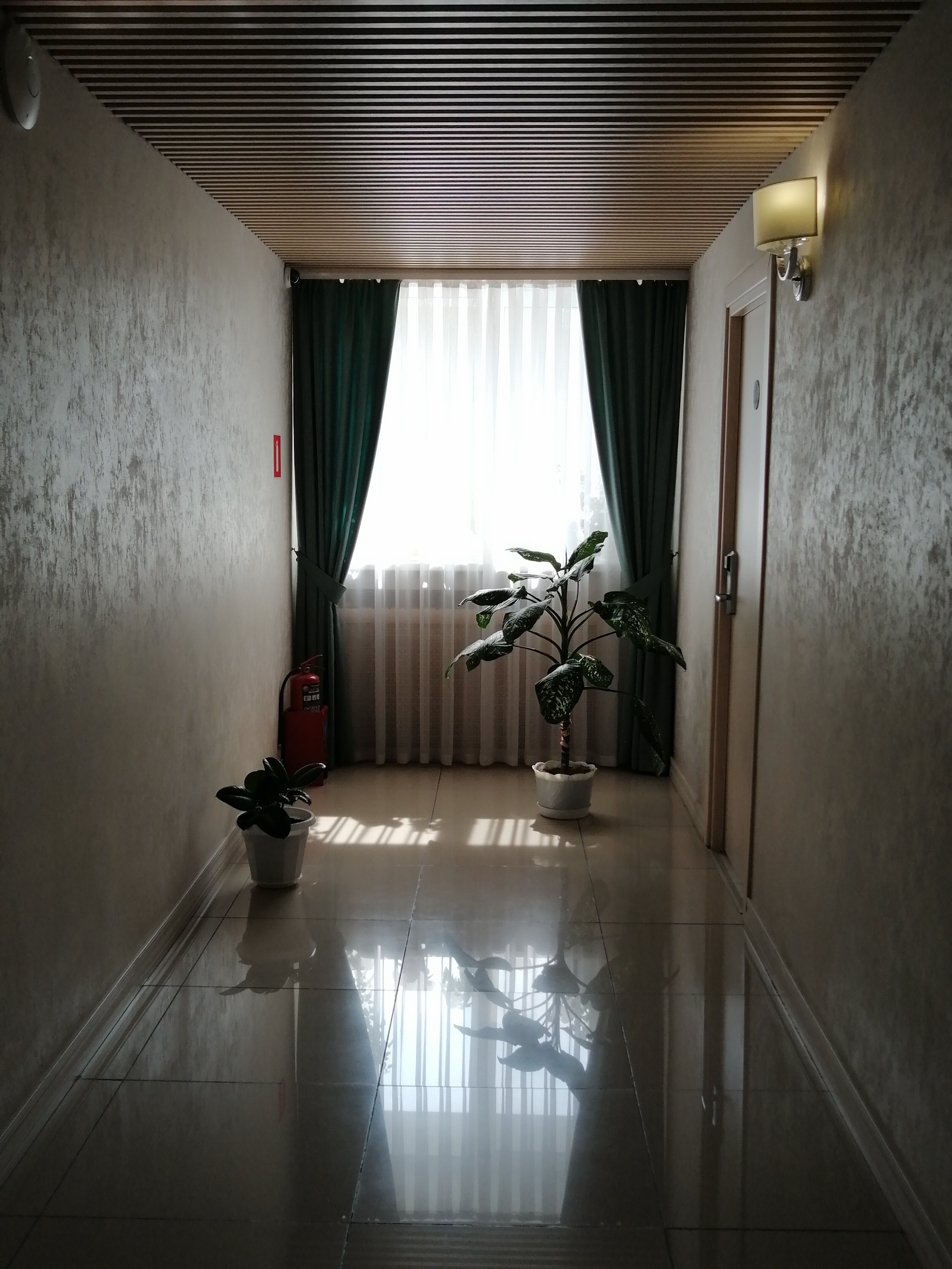 Фото Астория