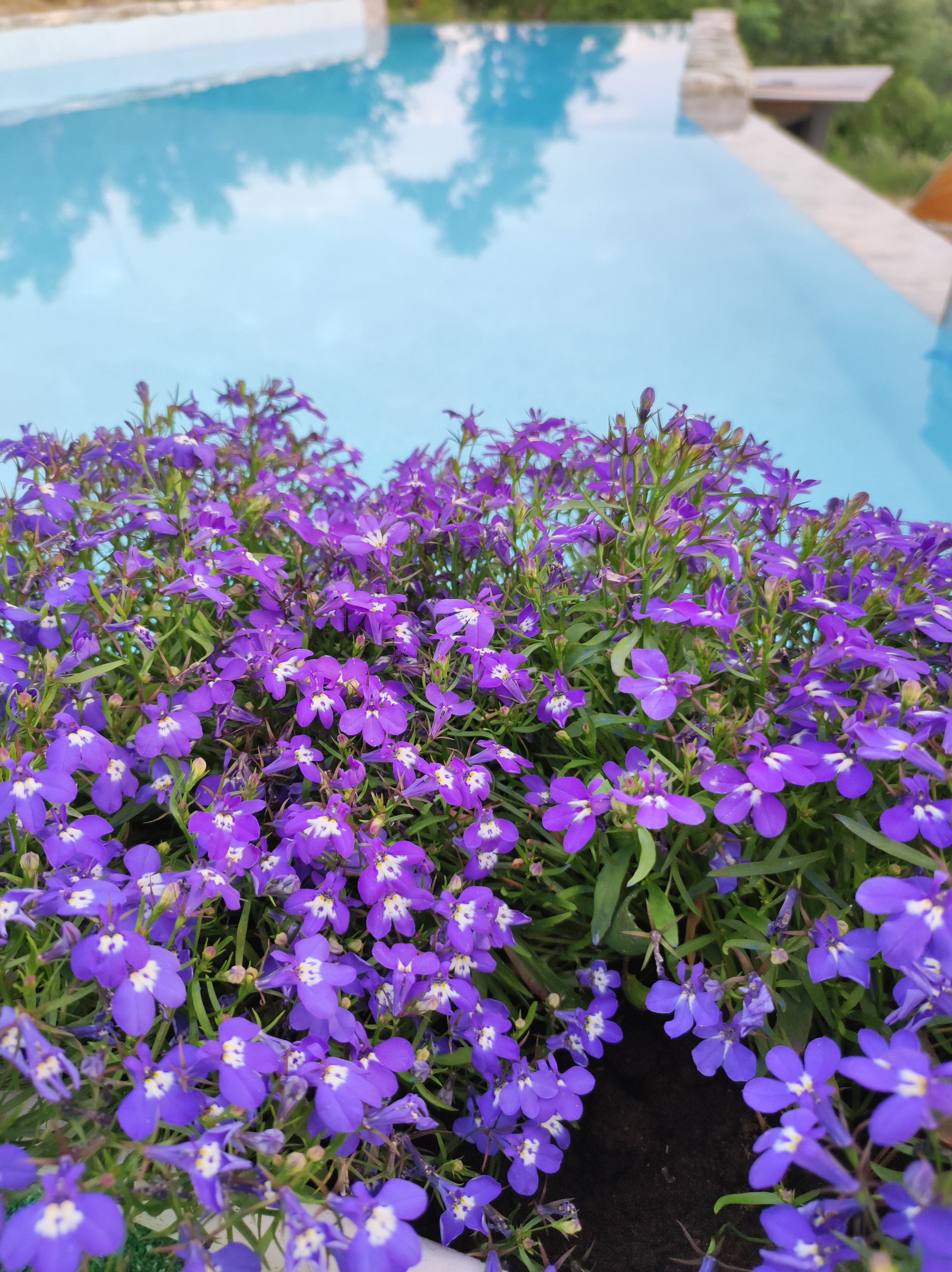 Фото Пять домиков