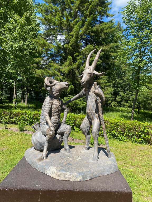 Фото Кырлай