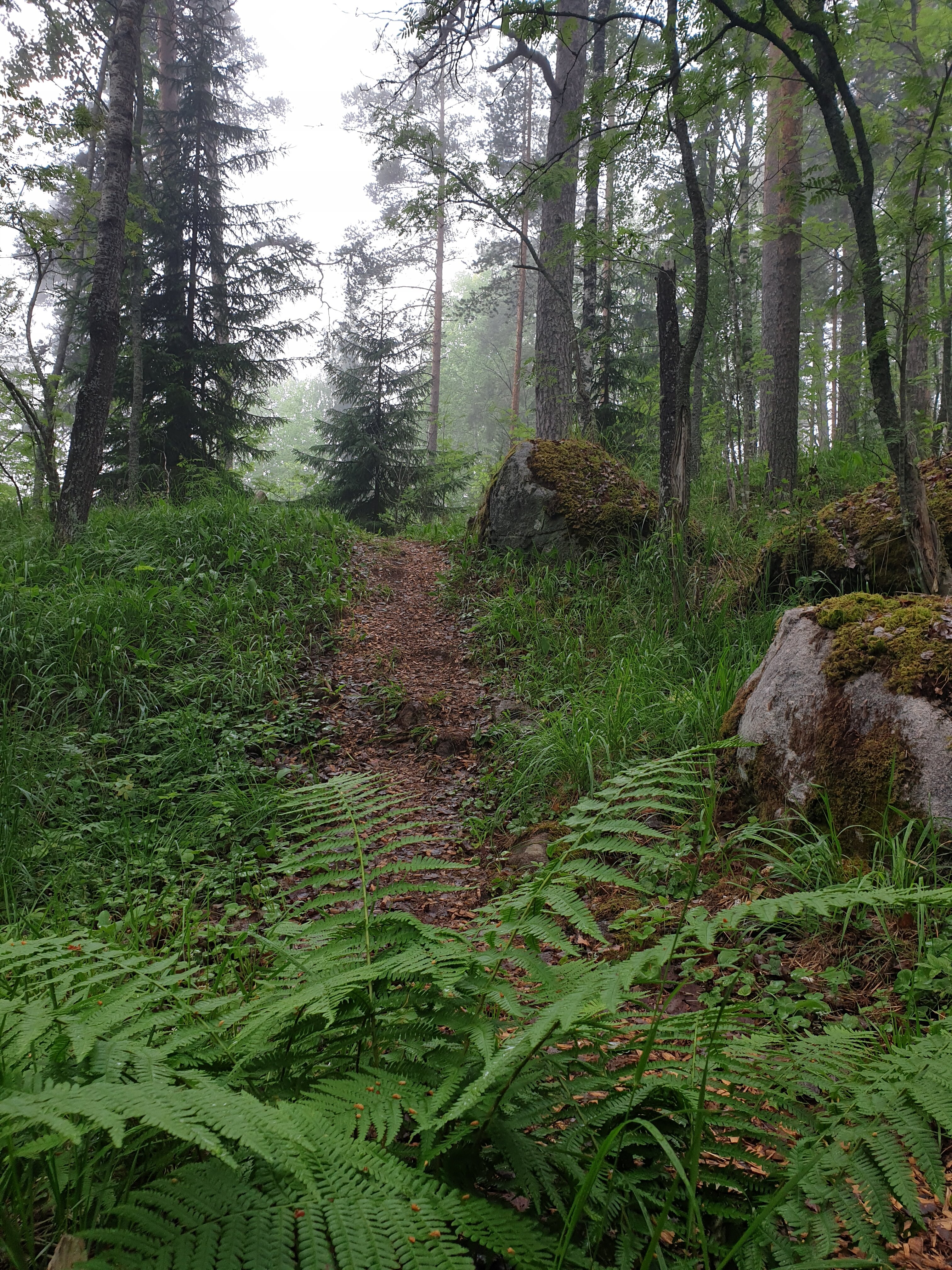 Фото Forest Park