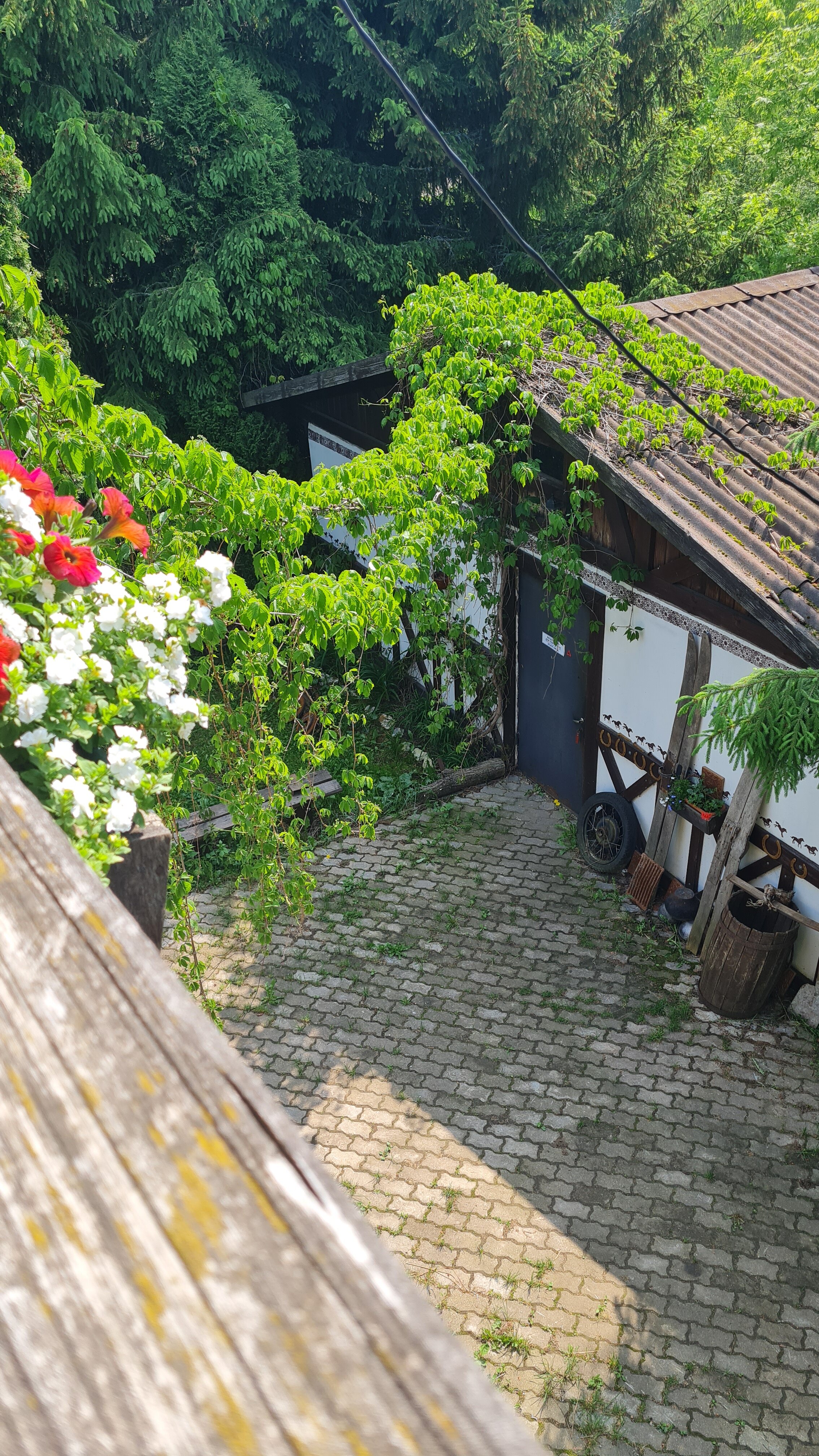 Фото Dream Village