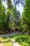Forest House Resort