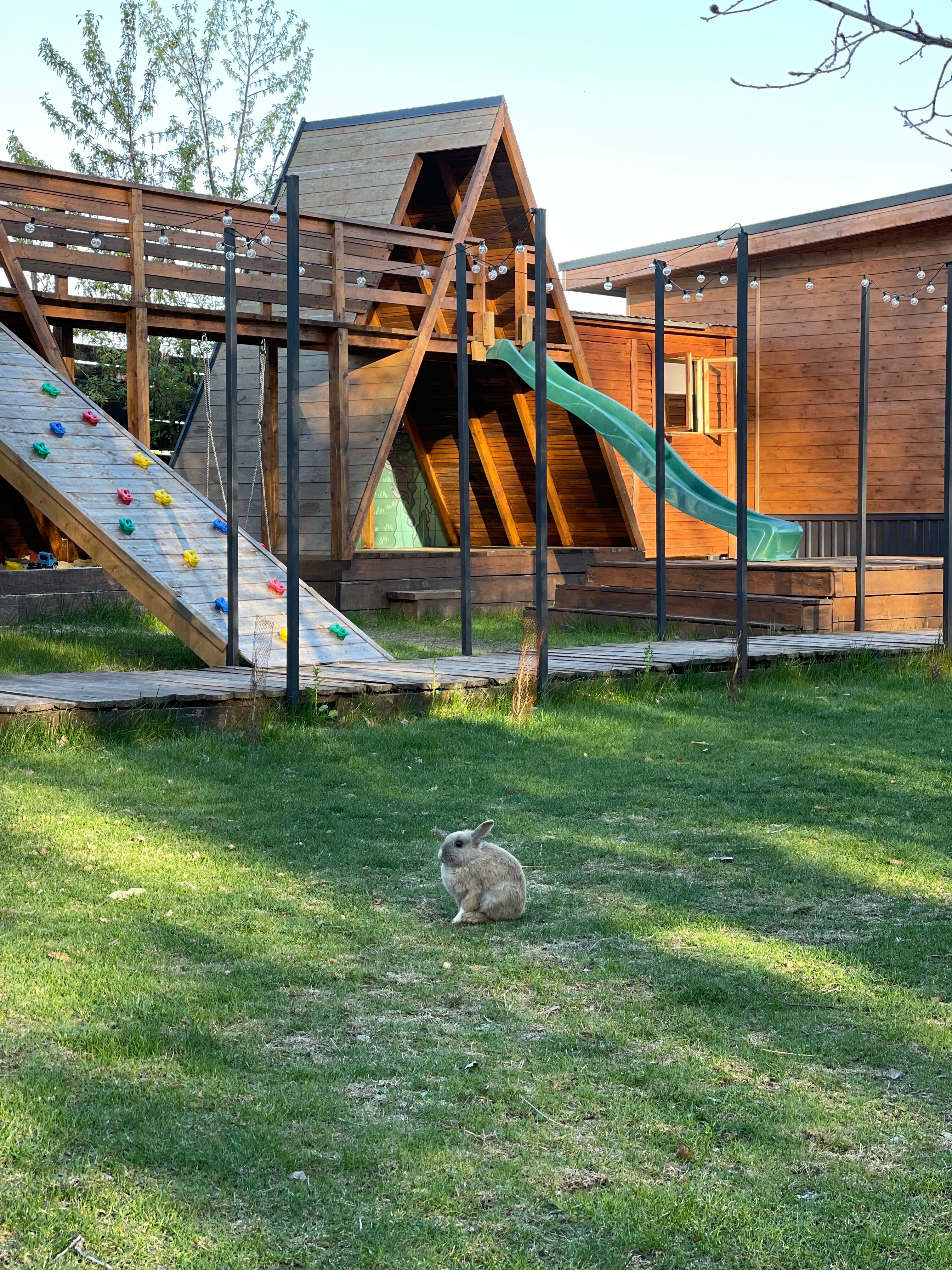 Фото Жёлуди